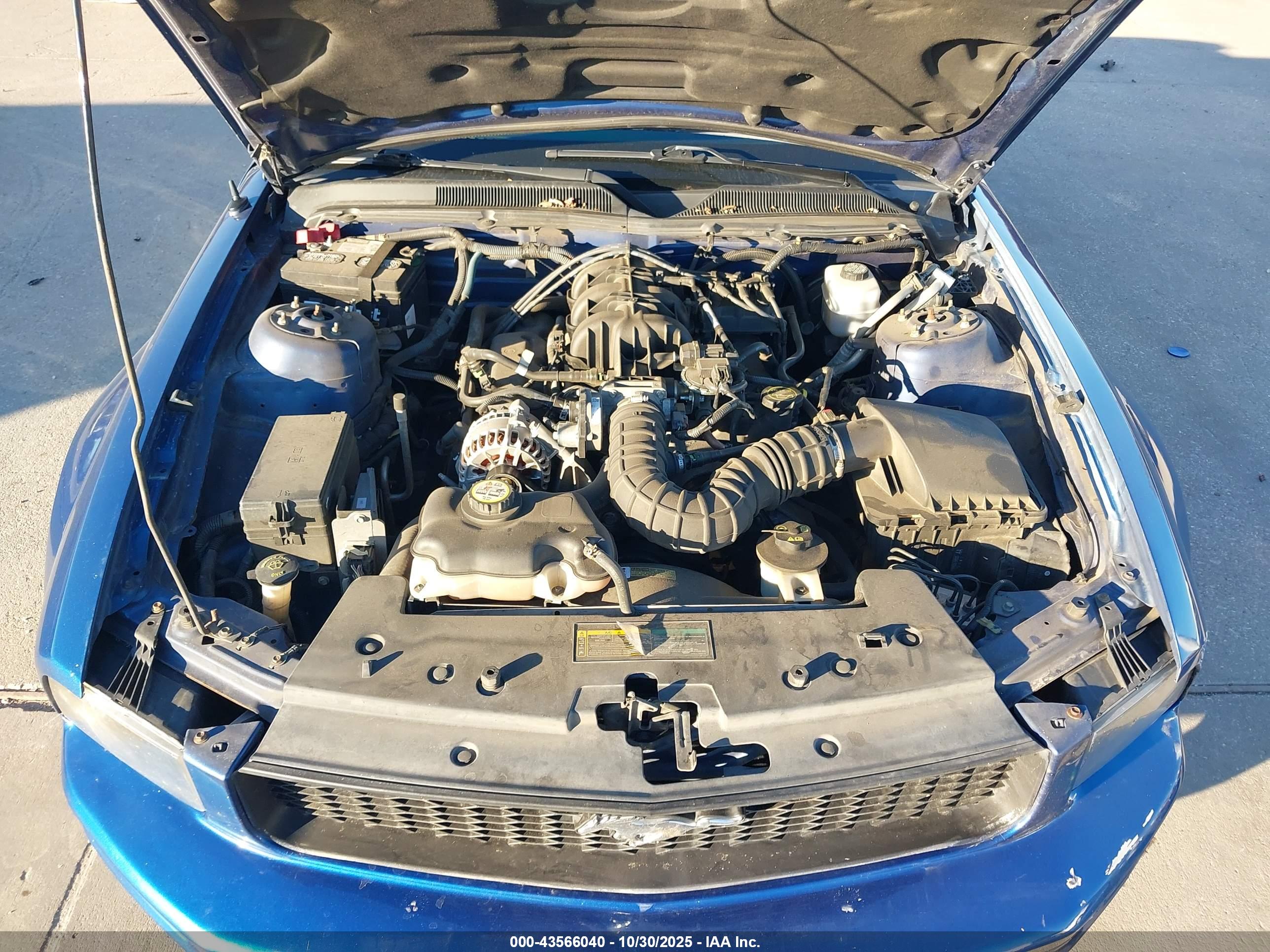 FORD MUSTANG image 10