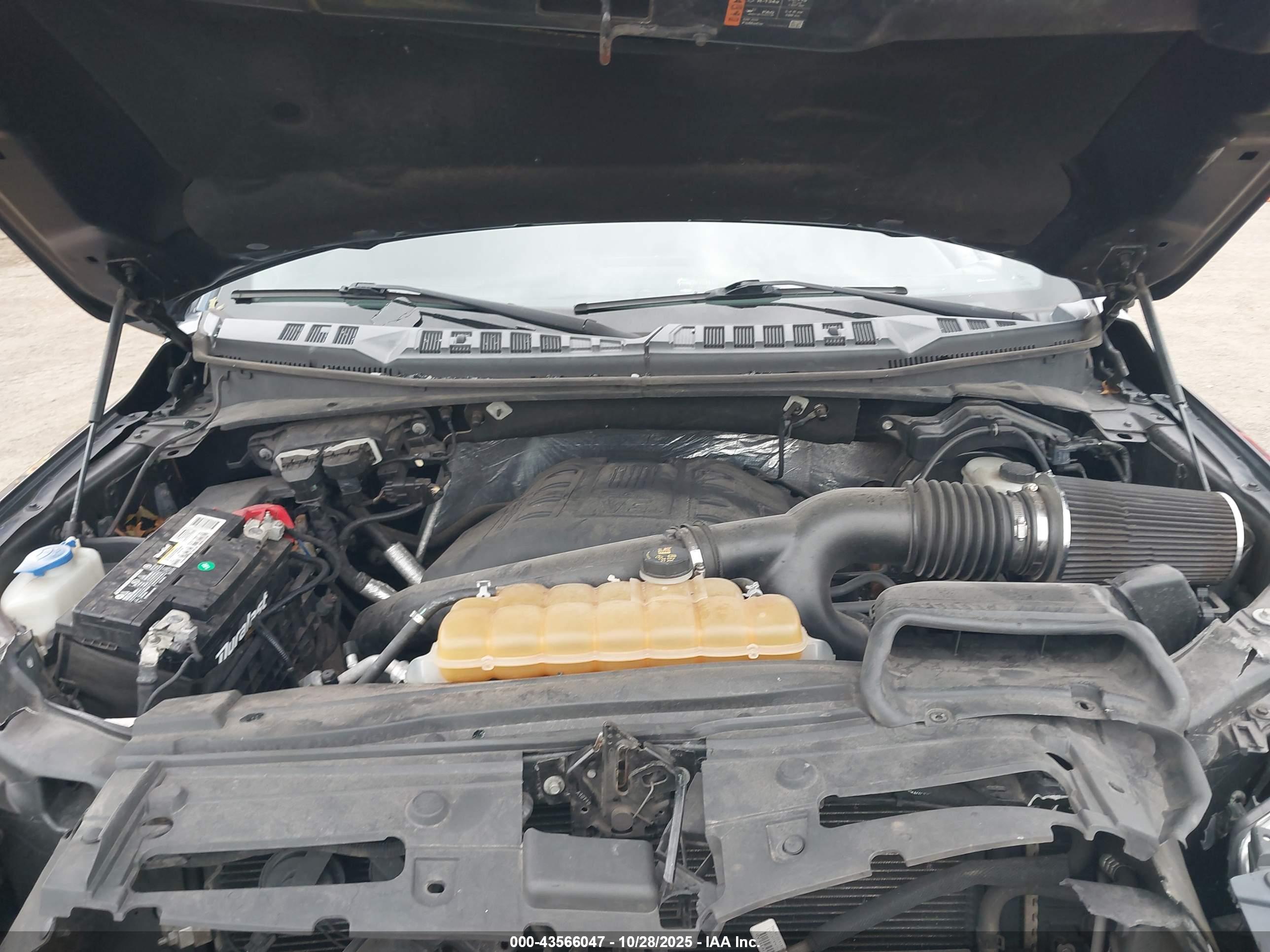 FORD F-150 image 10