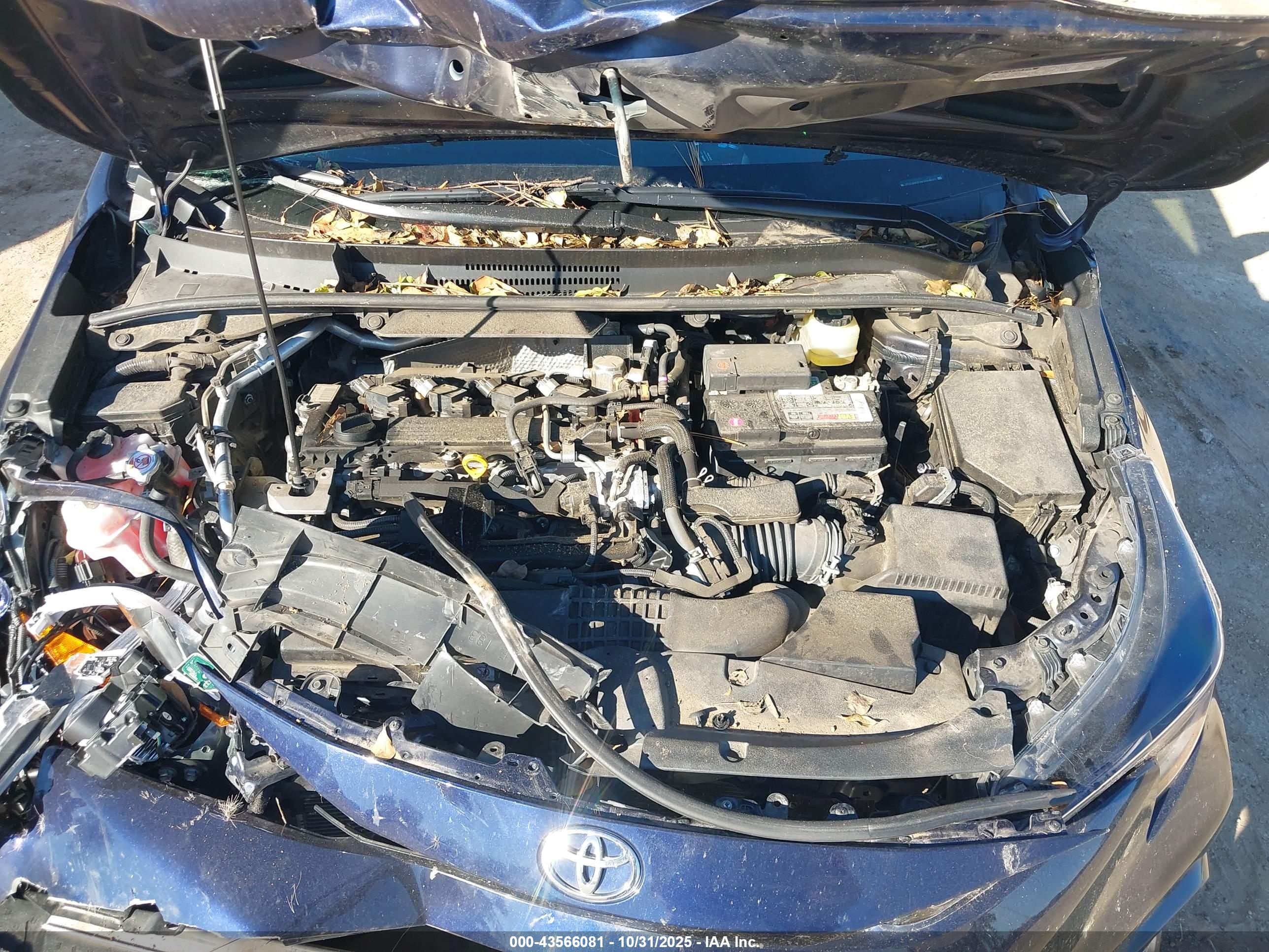 TOYOTA COROLLA image 10