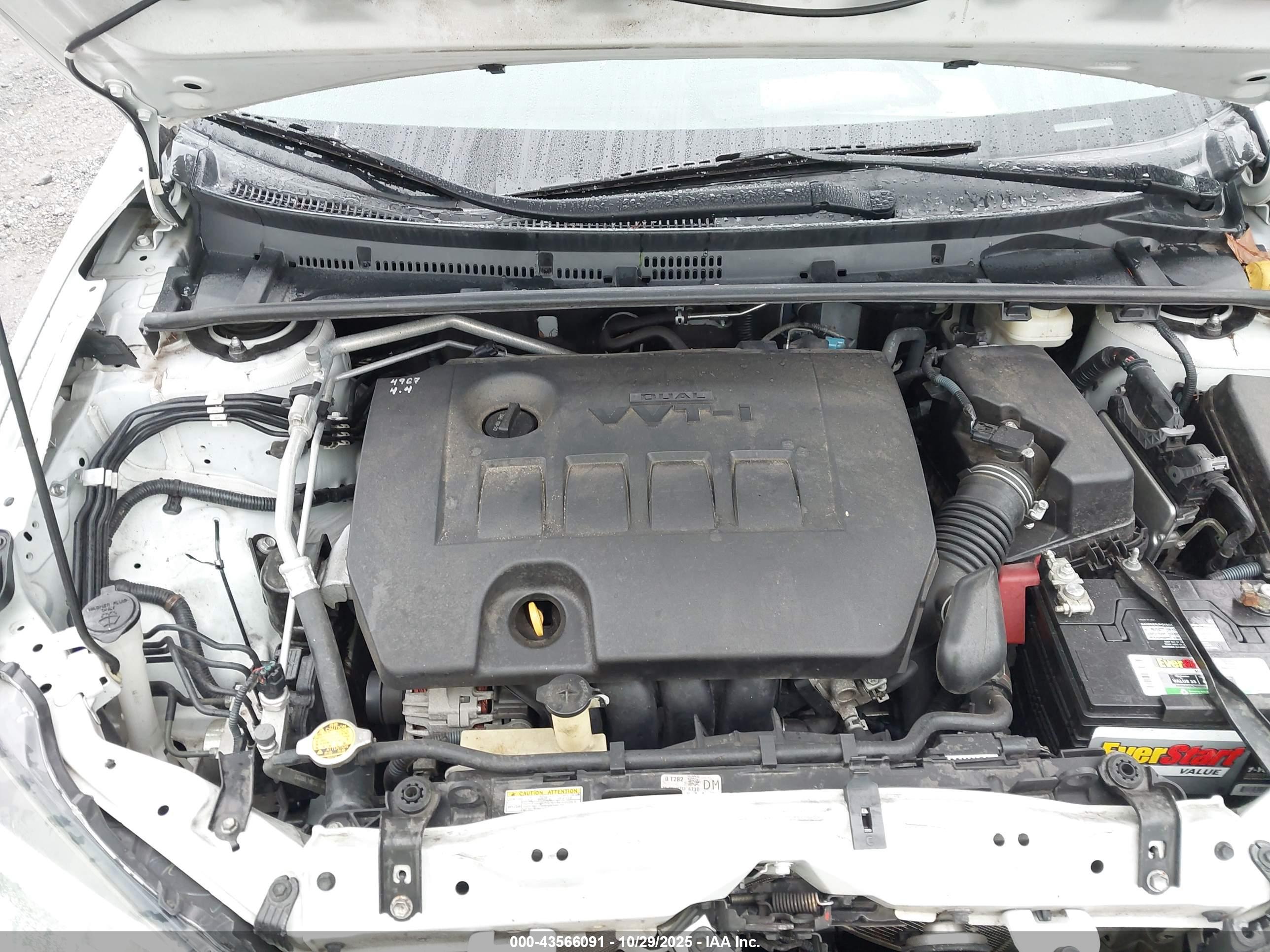TOYOTA COROLLA image 10