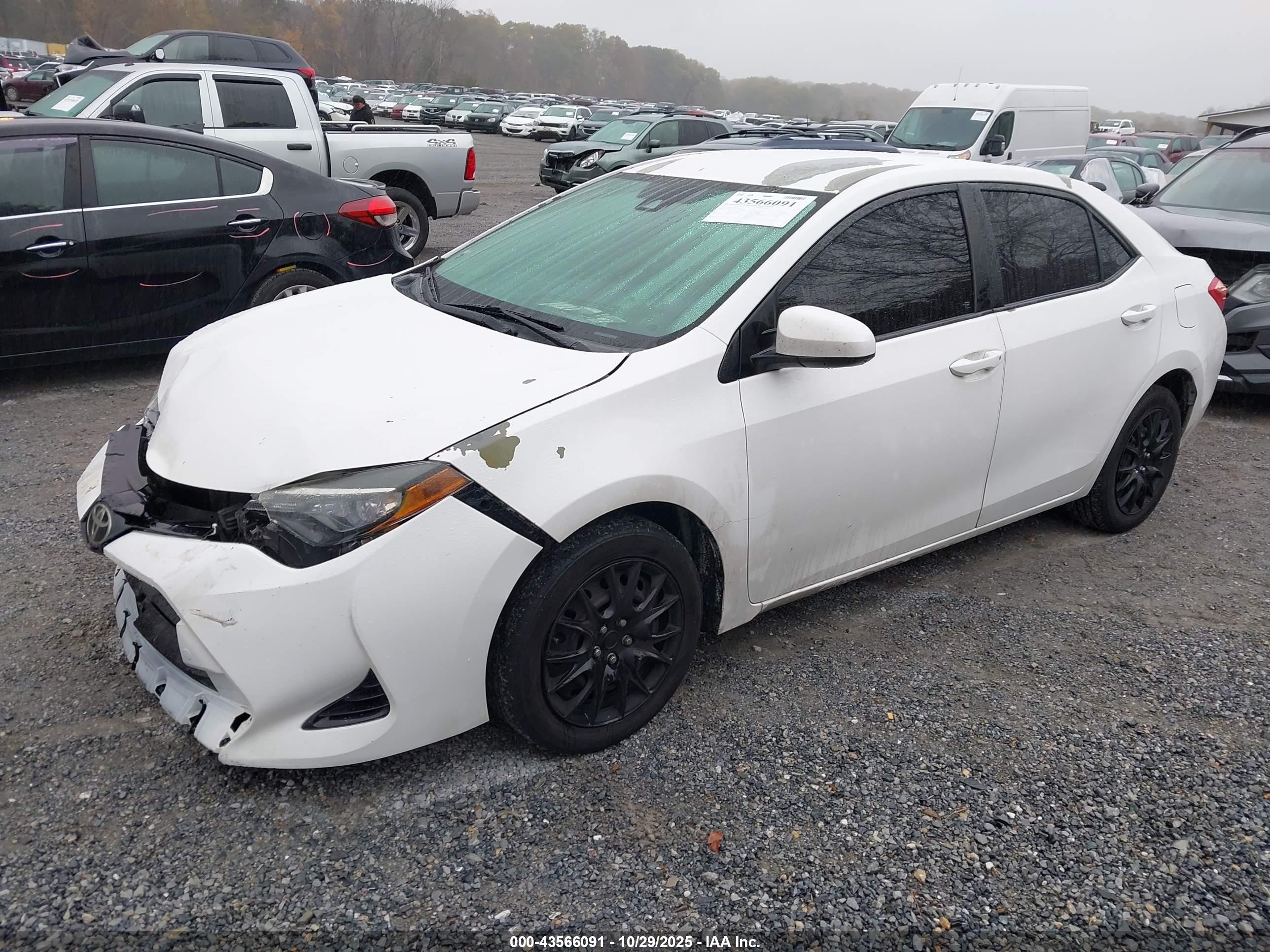 TOYOTA COROLLA image 2