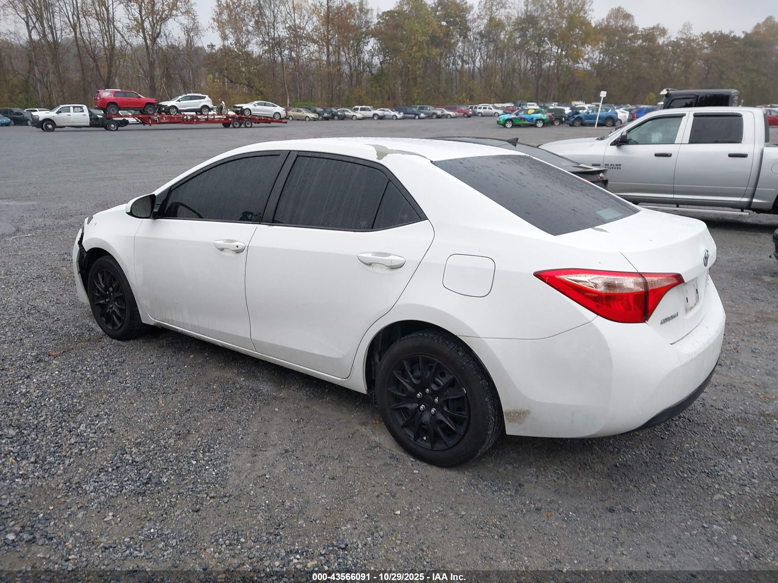 TOYOTA COROLLA image 3