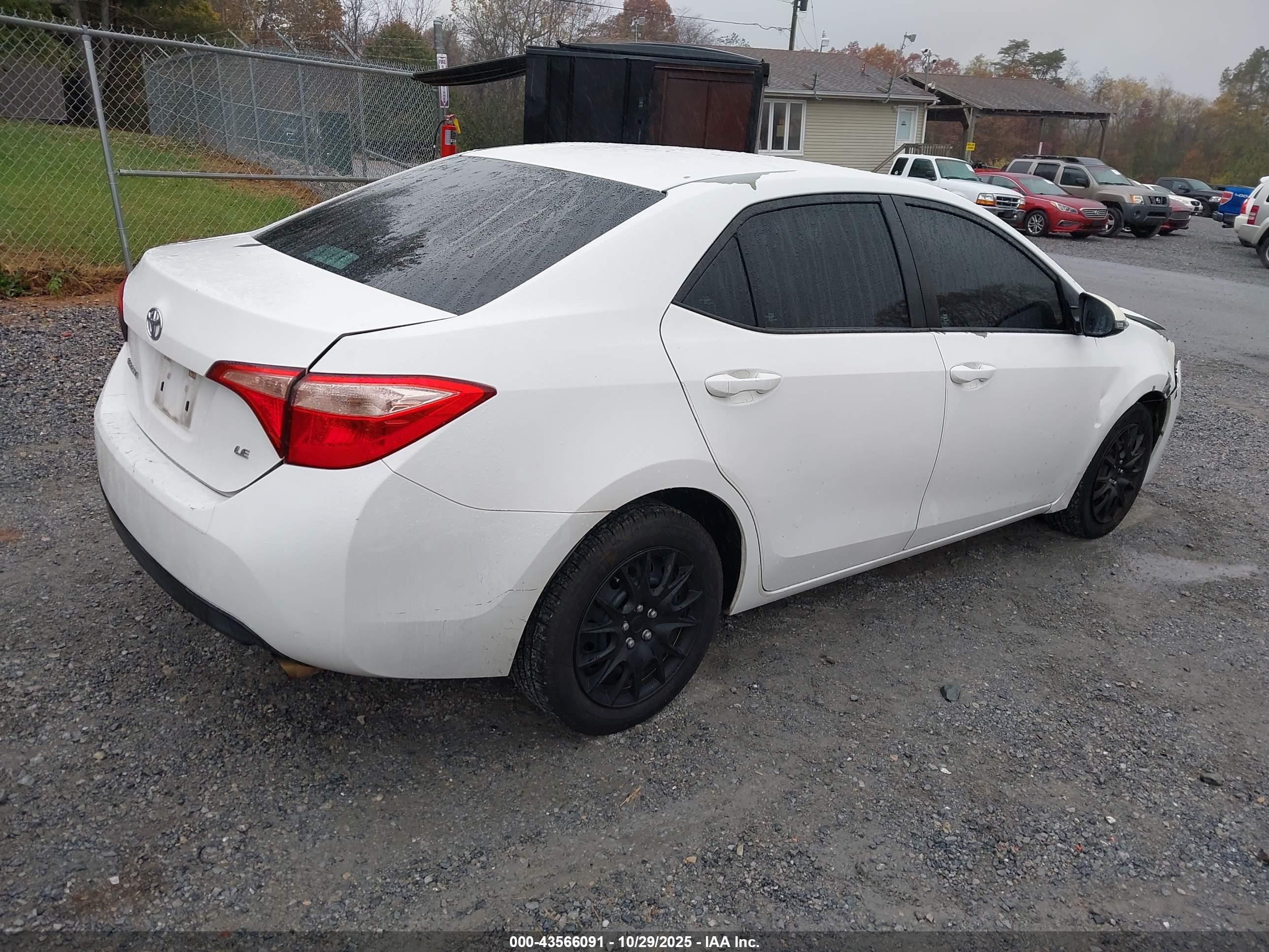 TOYOTA COROLLA image 4