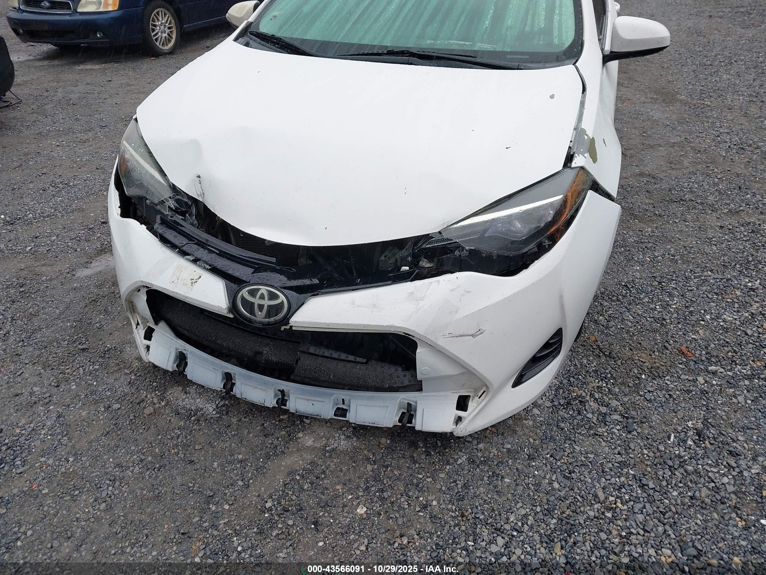 TOYOTA COROLLA image 6