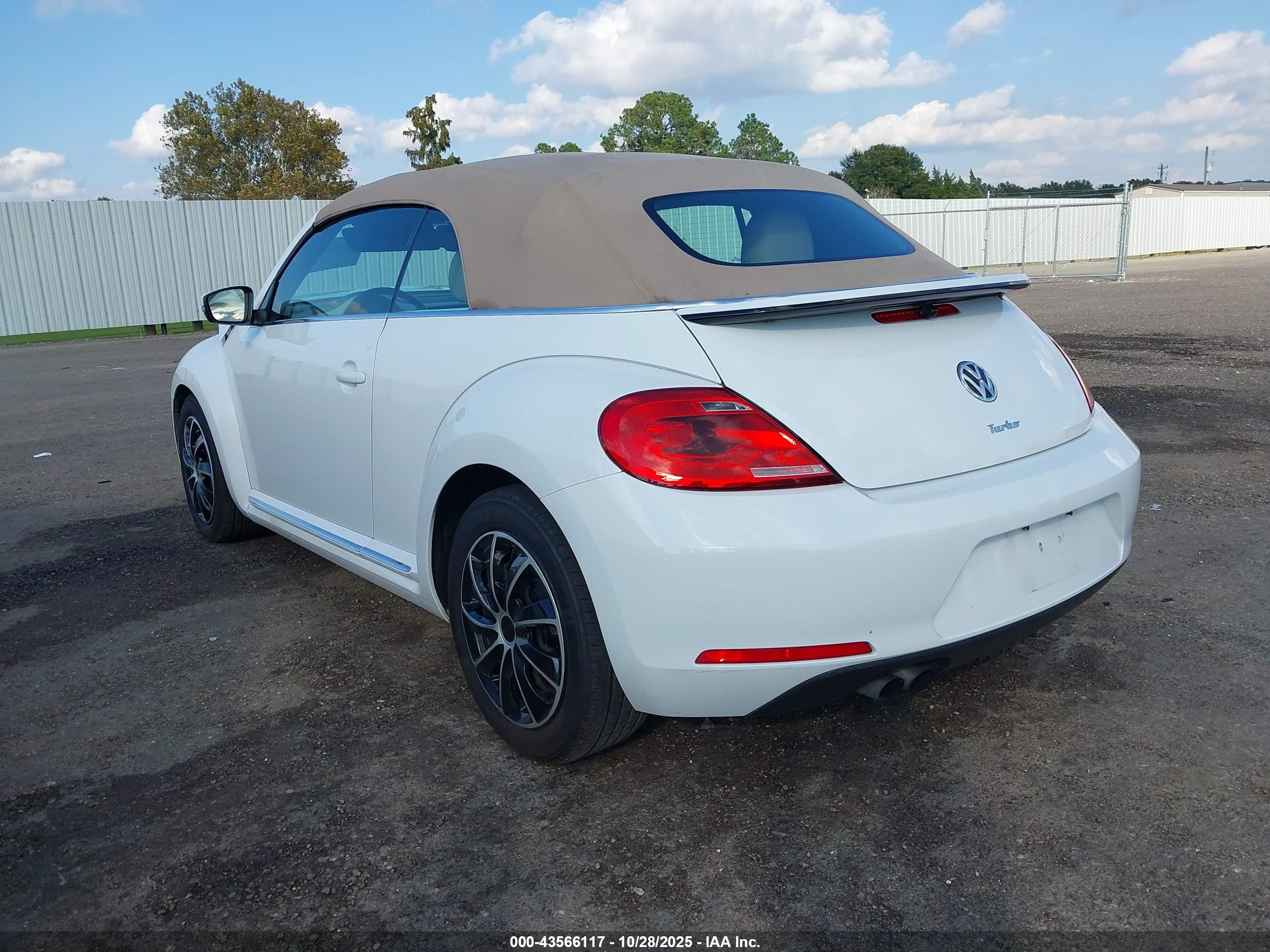 VOLKSWAGEN BEETLE image 3
