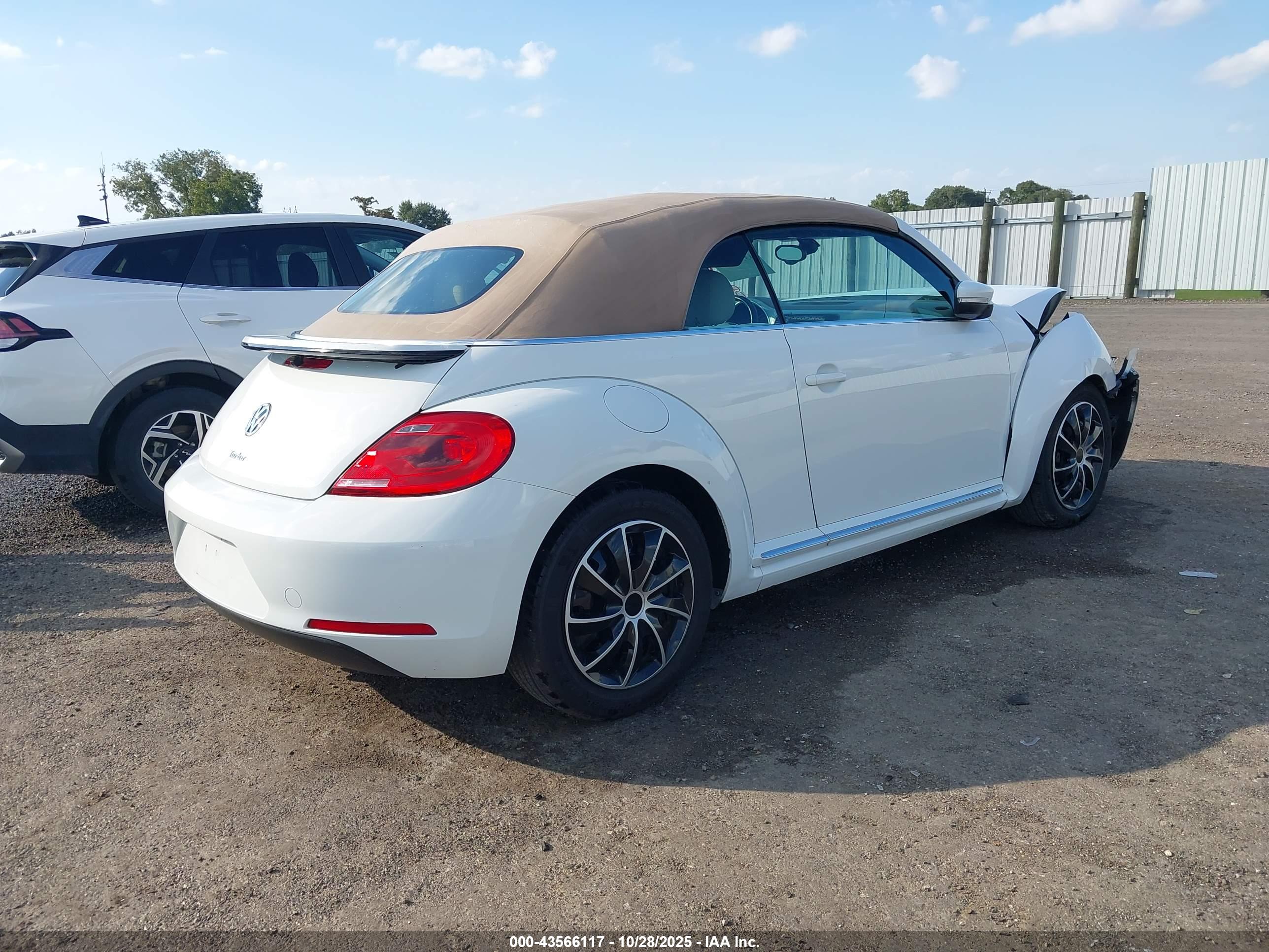 VOLKSWAGEN BEETLE image 4