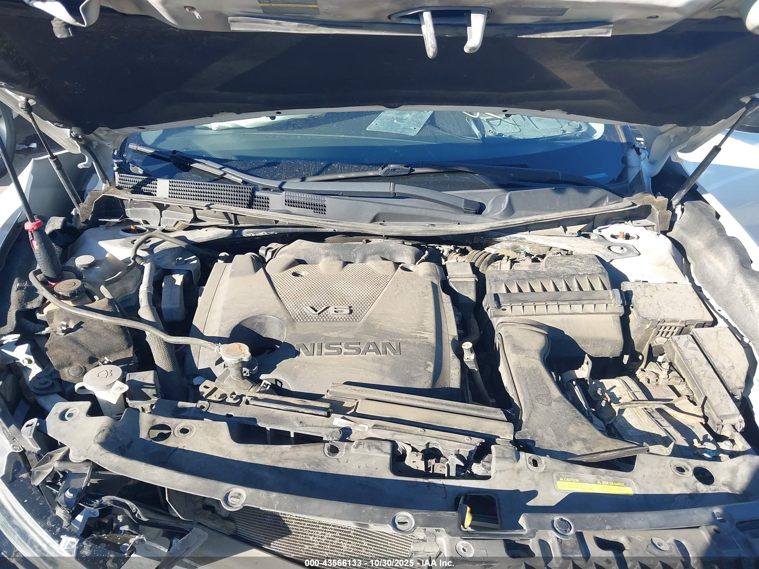 NISSAN MAXIMA image 10