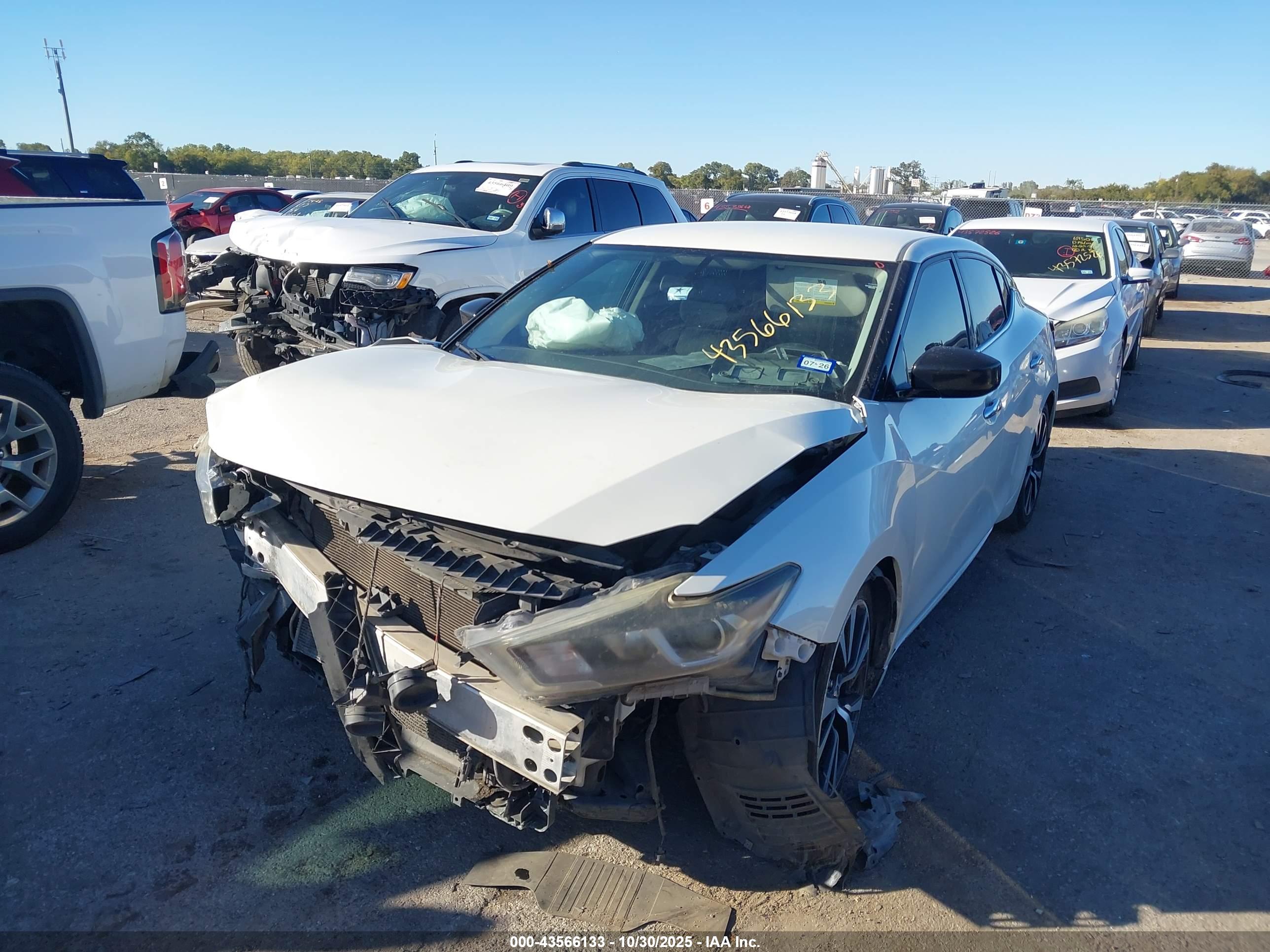 NISSAN MAXIMA image 2
