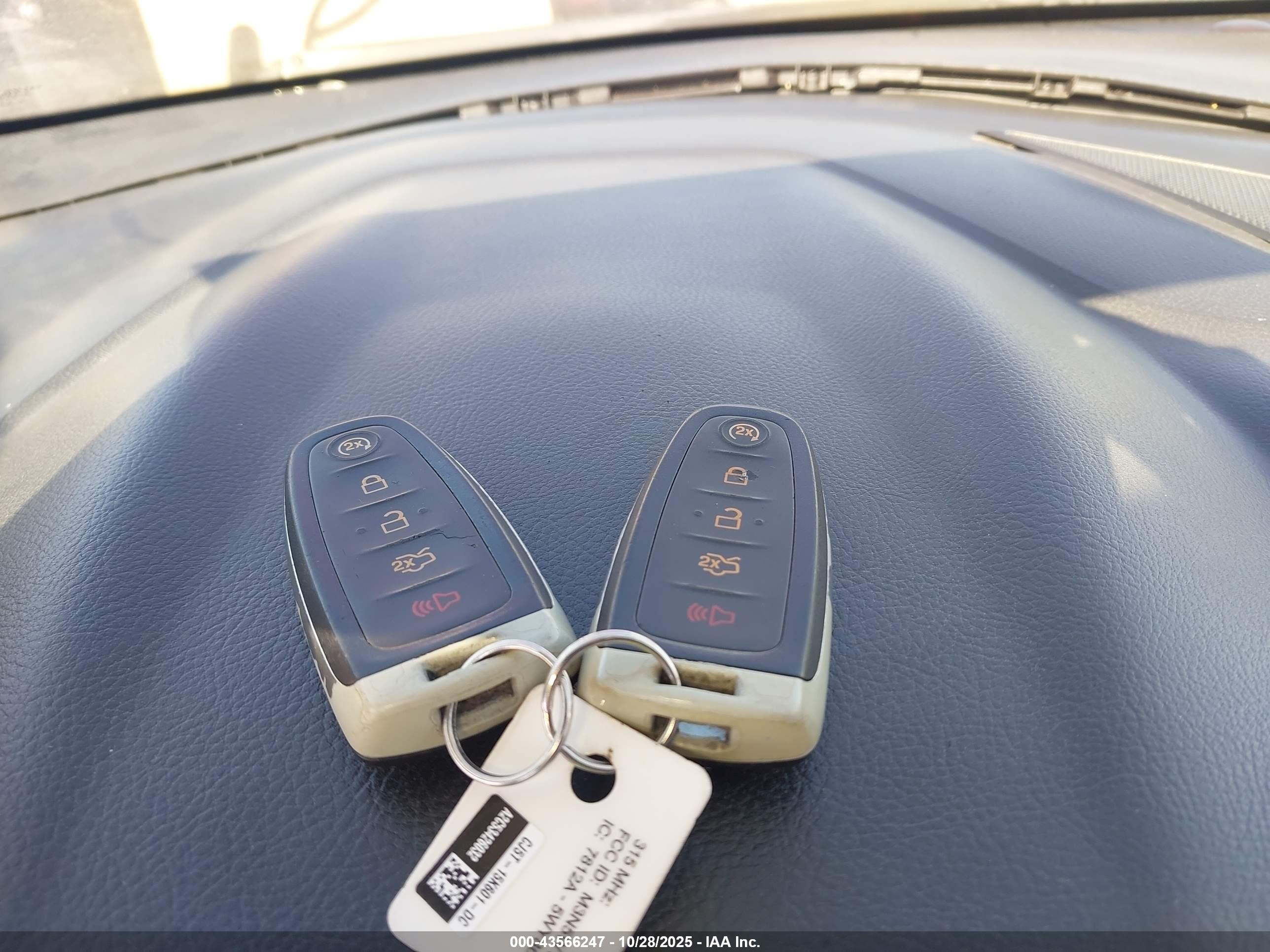 FORD FOCUS image 11