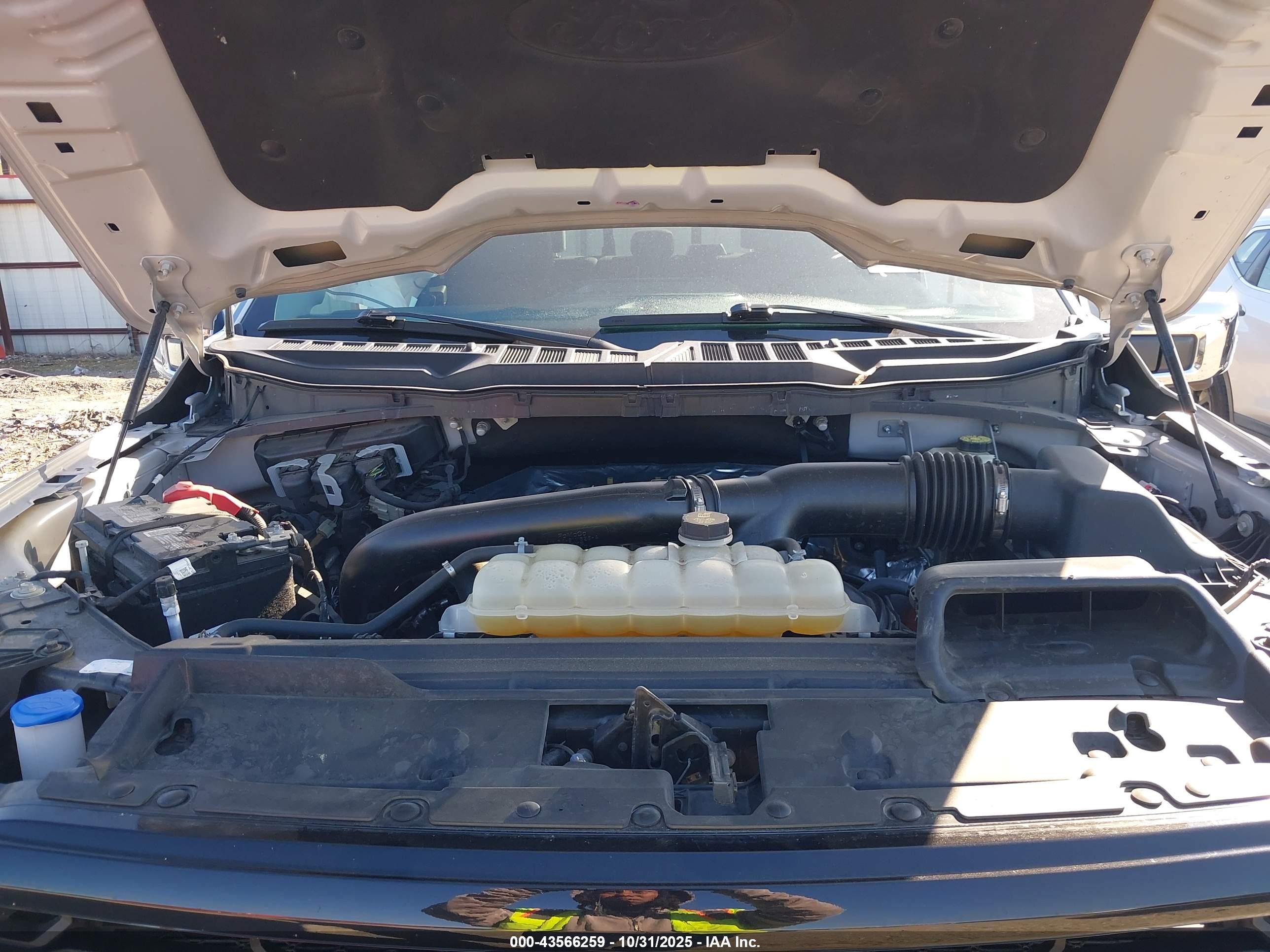 FORD F-150 image 10