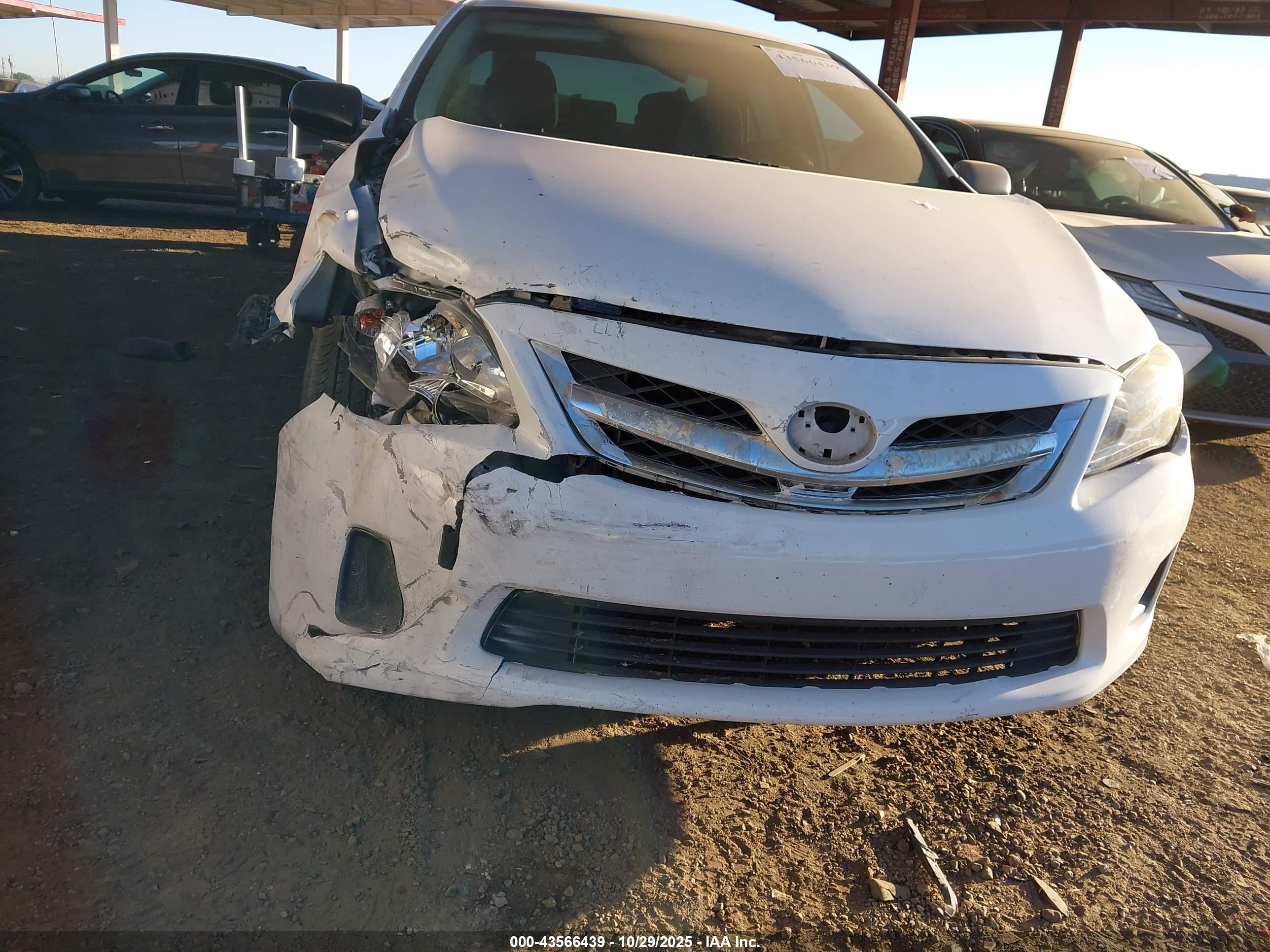 TOYOTA COROLLA image 6