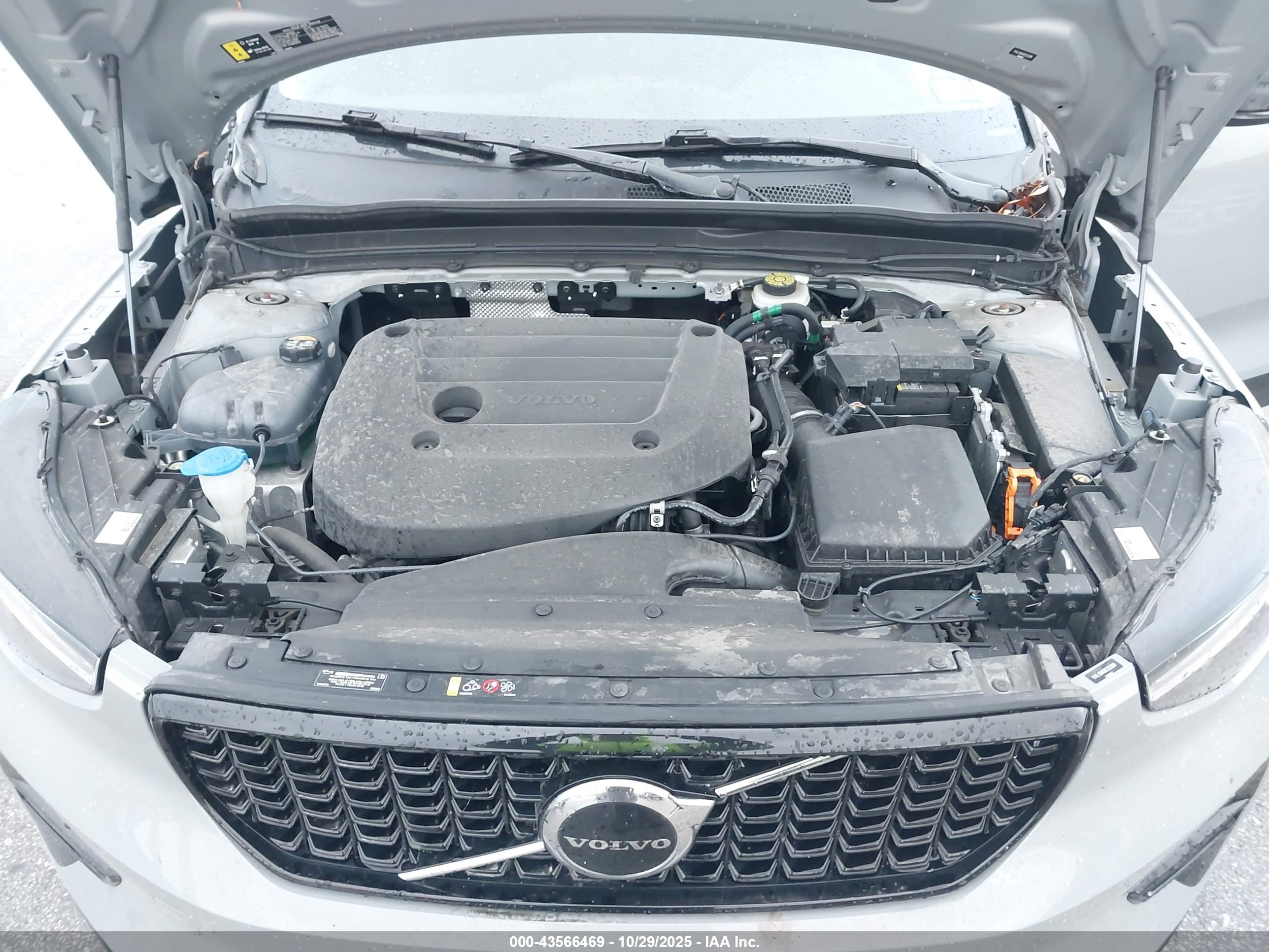 VOLVO XC40 image 10