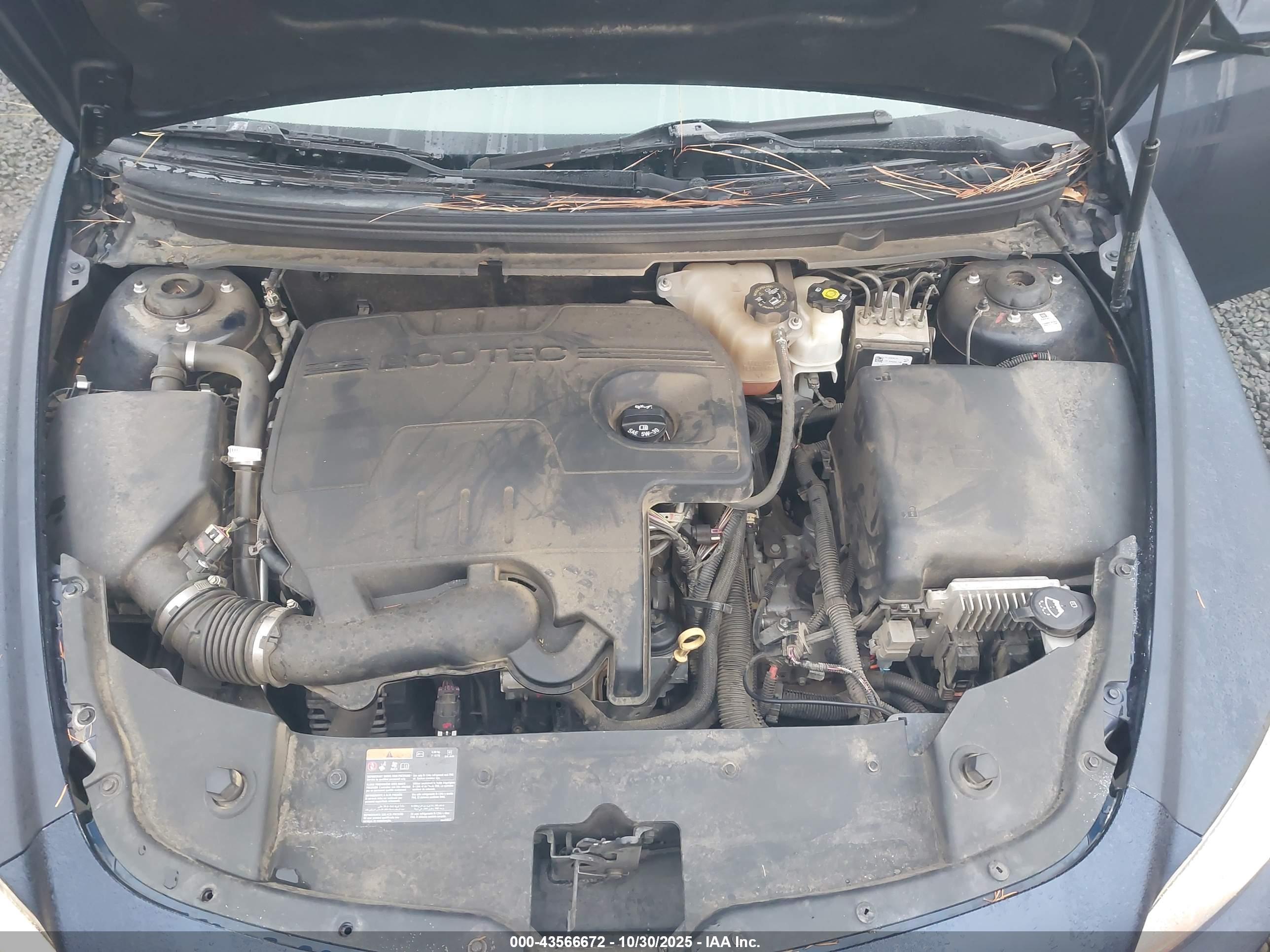CHEVROLET MALIBU image 10