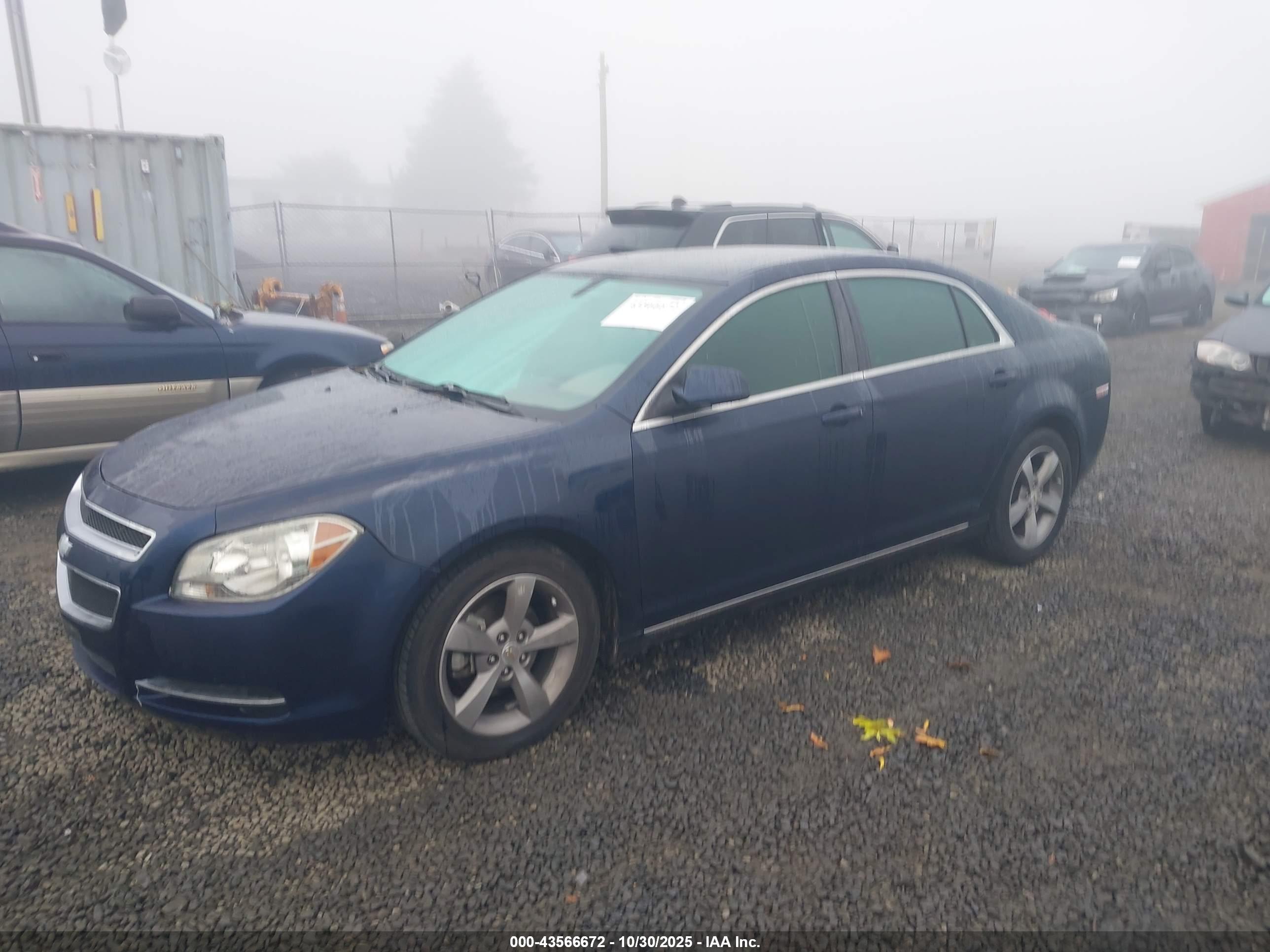 CHEVROLET MALIBU image 2