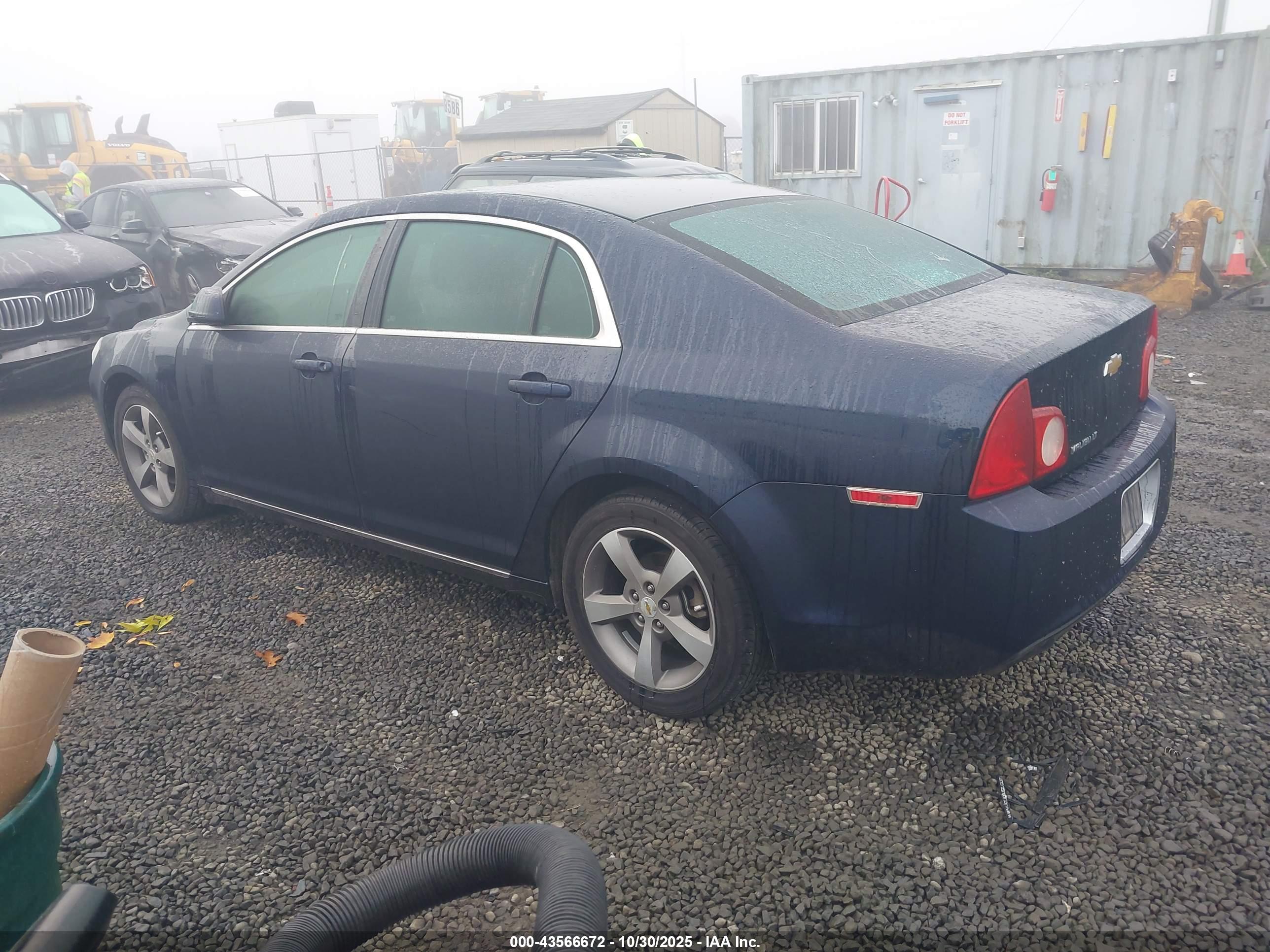 CHEVROLET MALIBU image 3