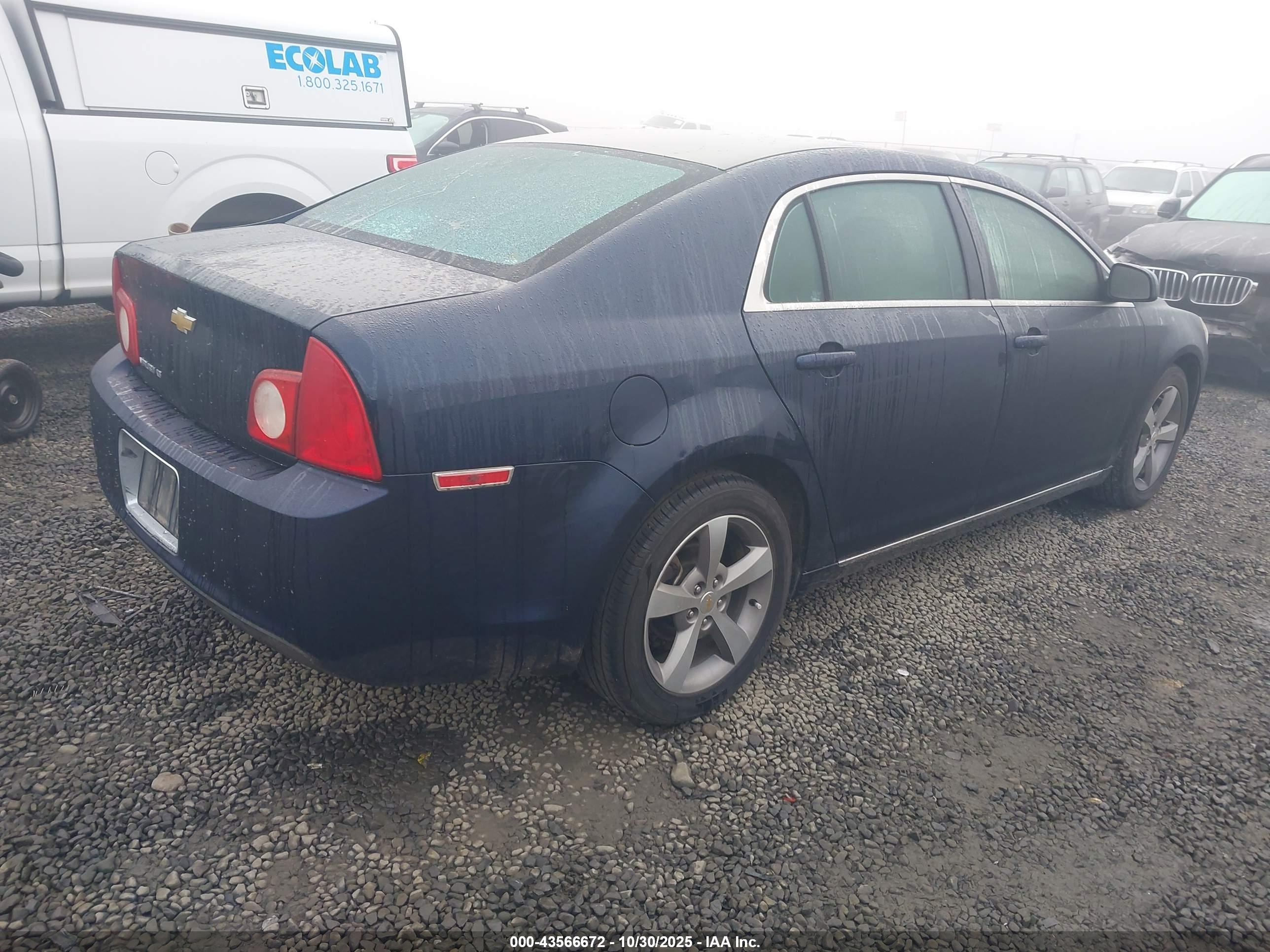 CHEVROLET MALIBU image 4