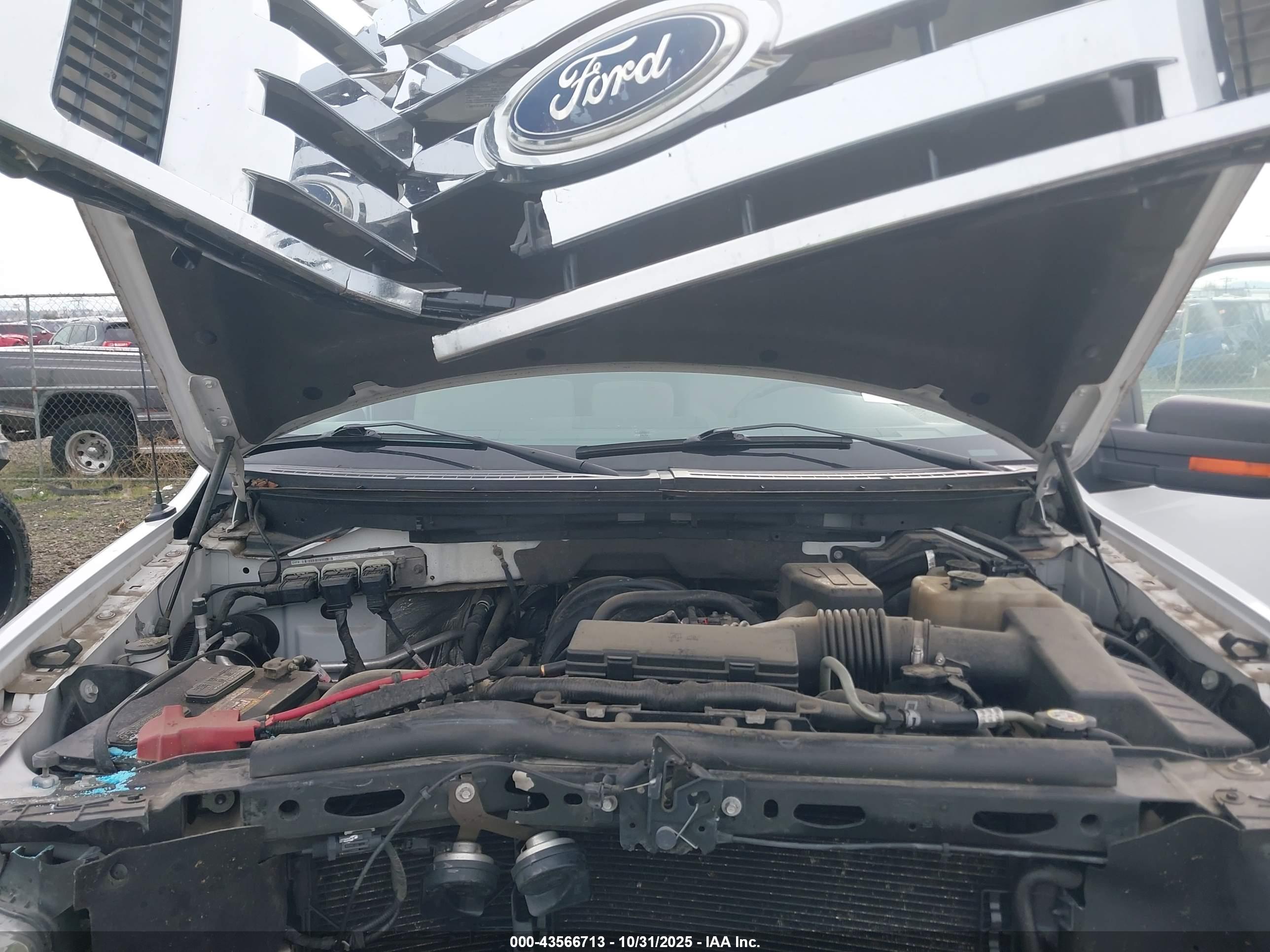 FORD F-150 image 10