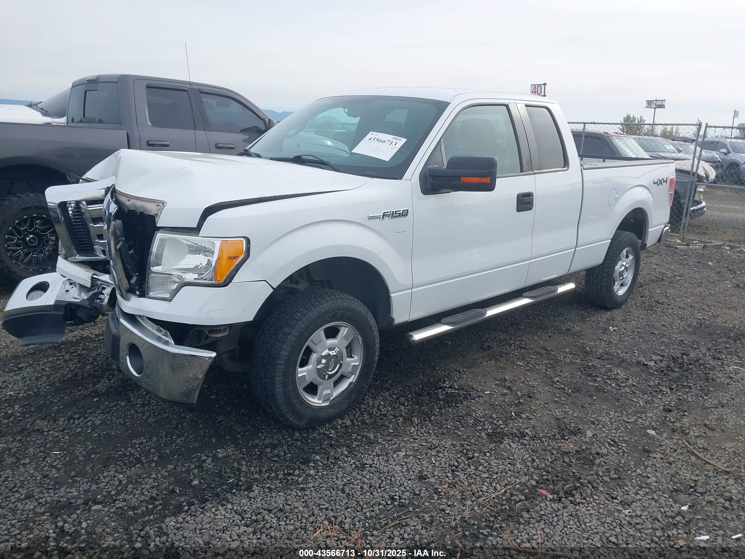 FORD F-150 image 2