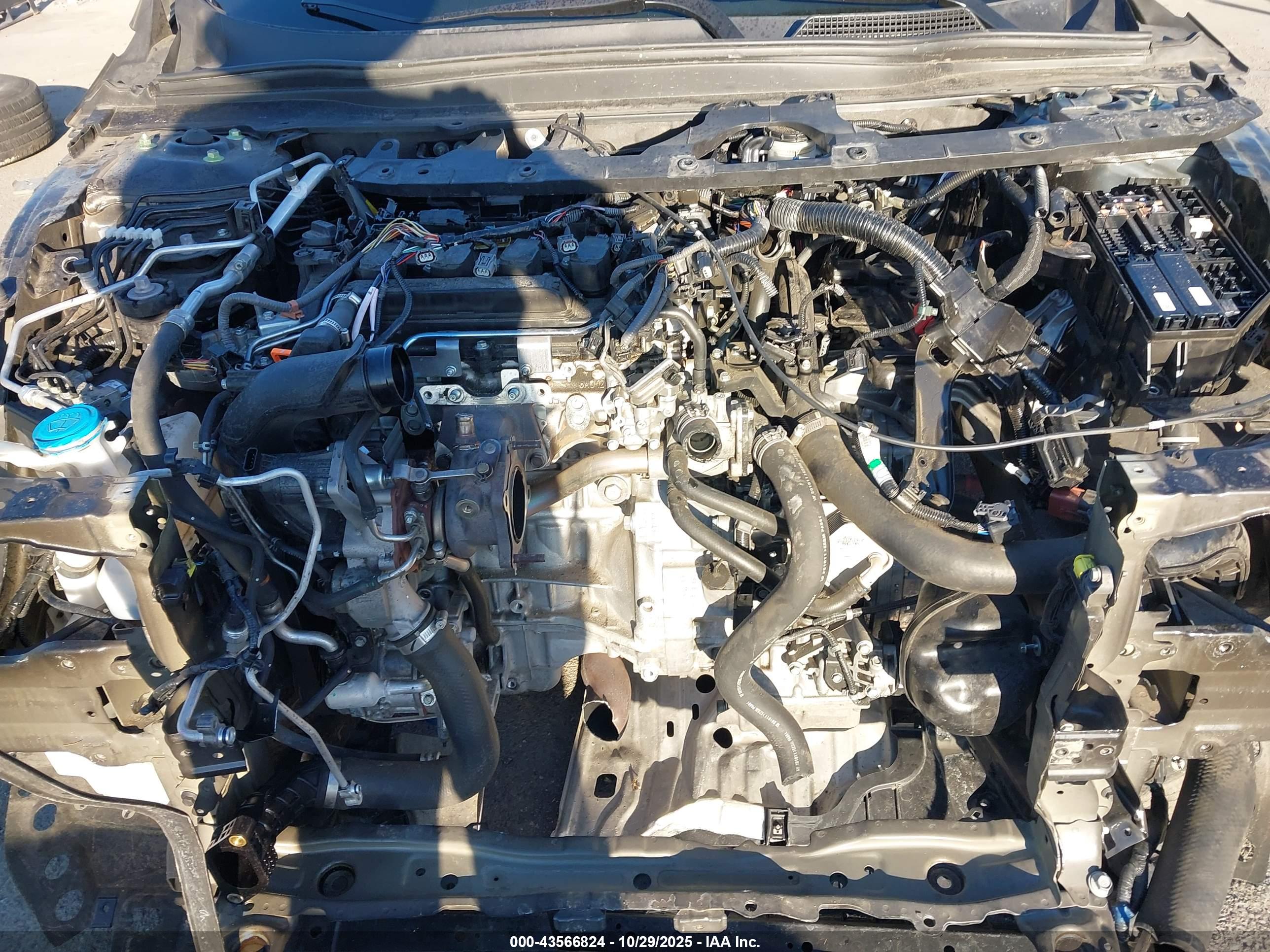 HONDA ACCORD image 10