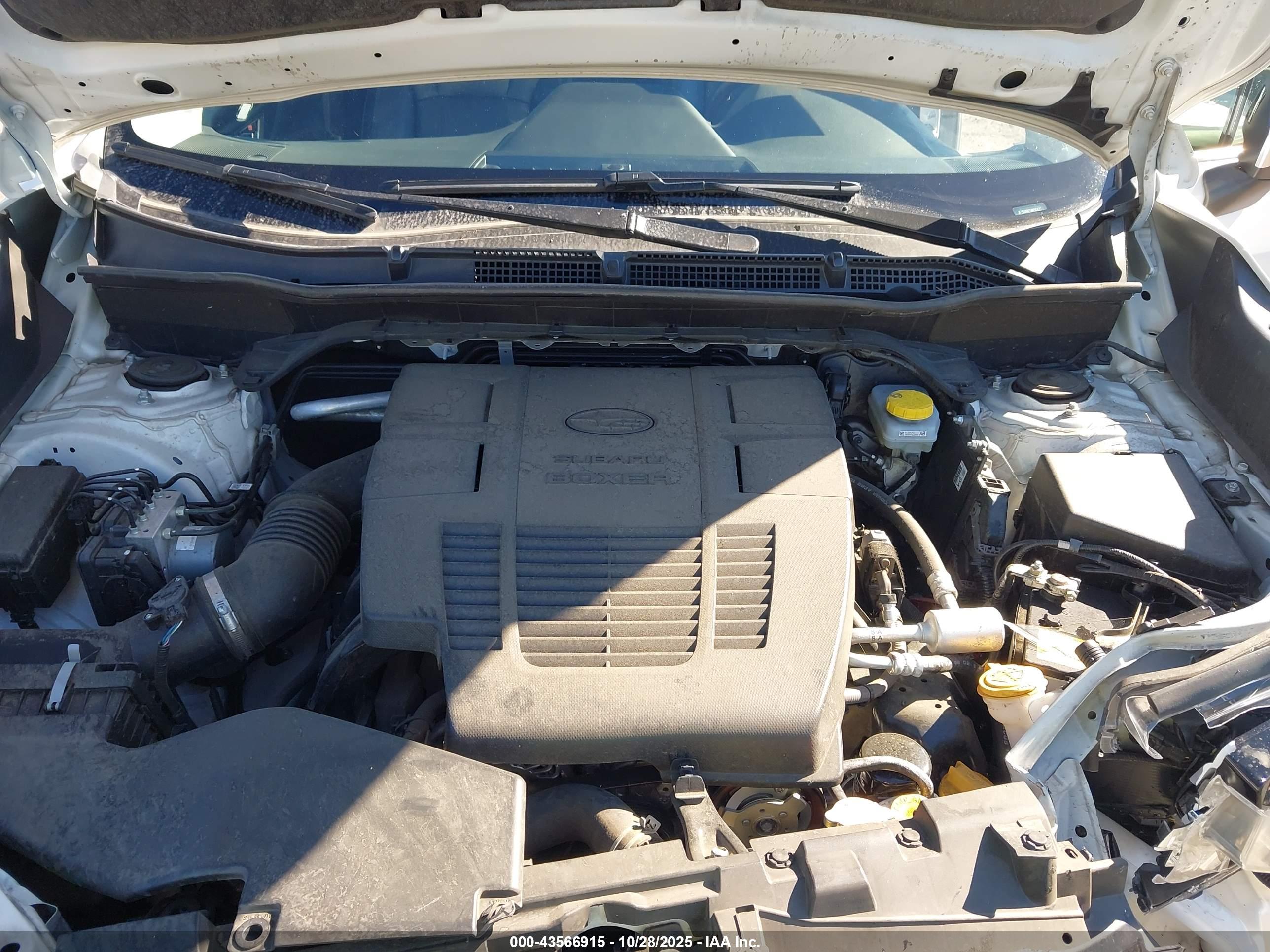 SUBARU FORESTER image 10