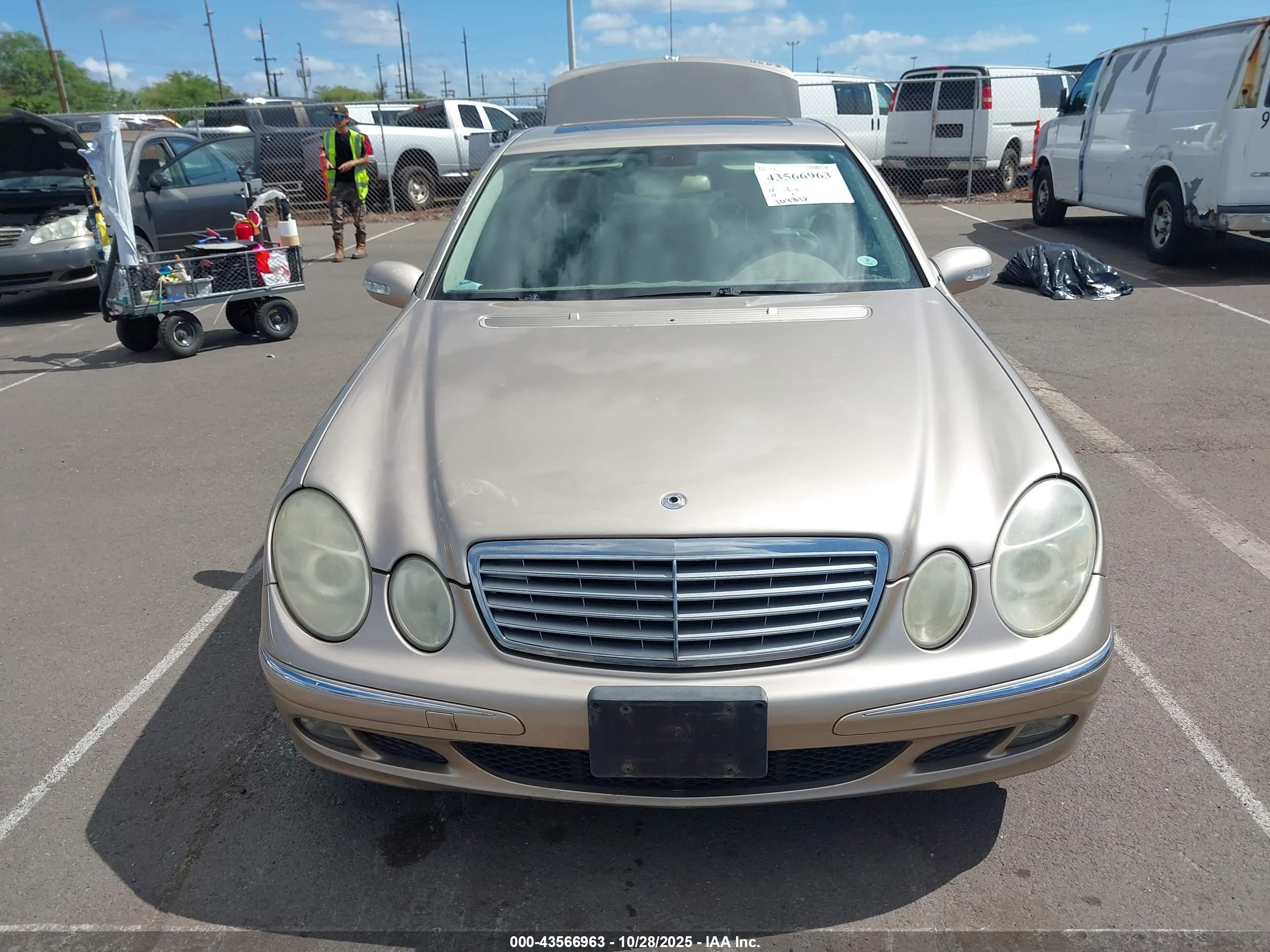 MERCEDES-BENZ E image 6