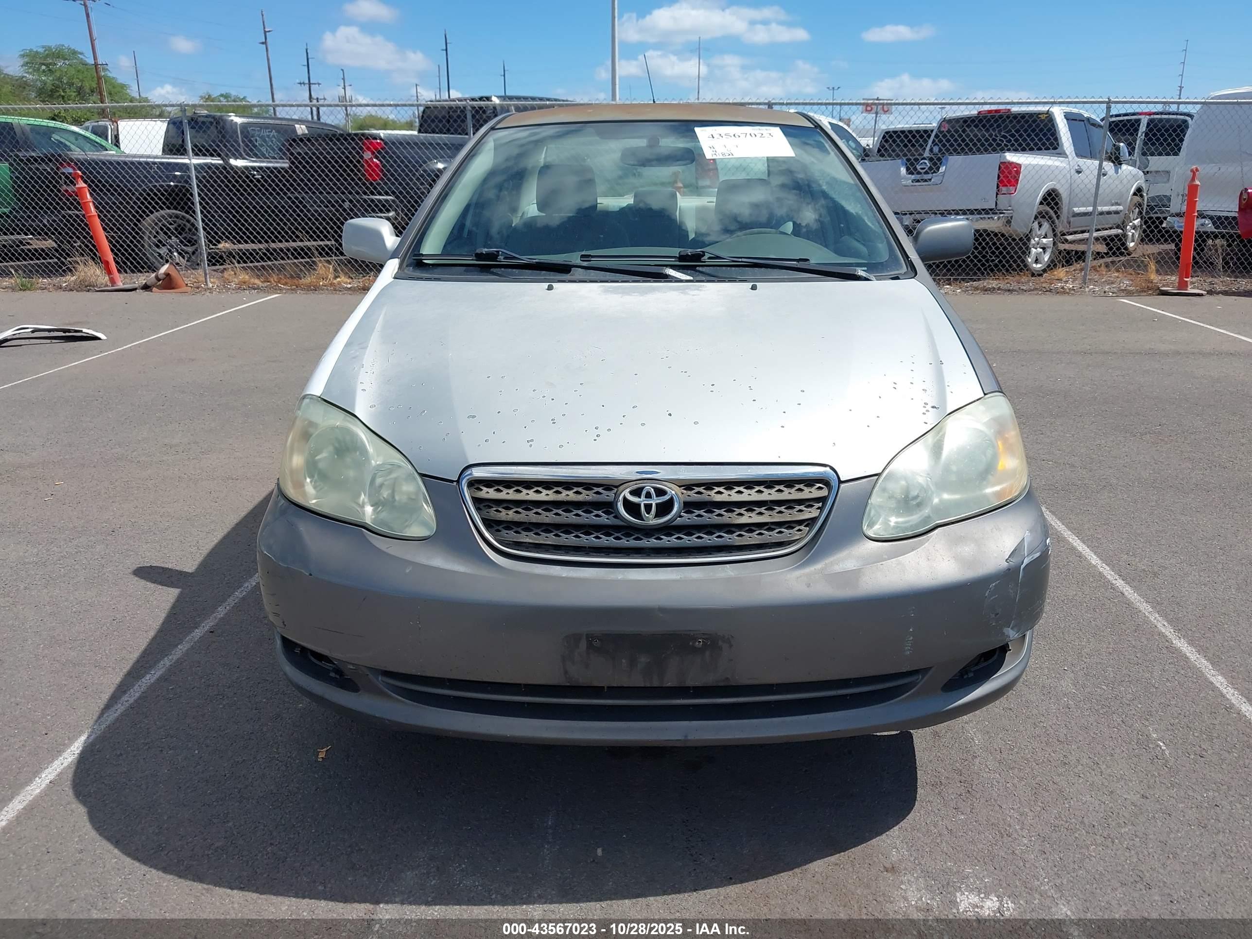 TOYOTA COROLLA image 6