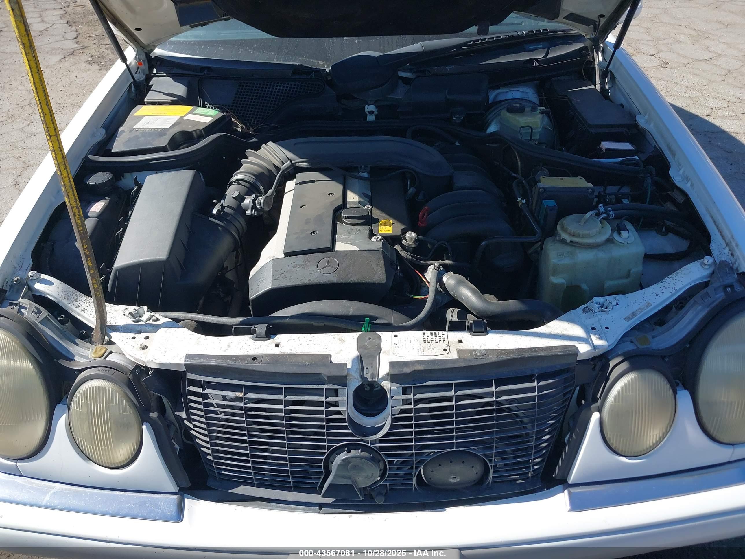 MERCEDES-BENZ E image 10