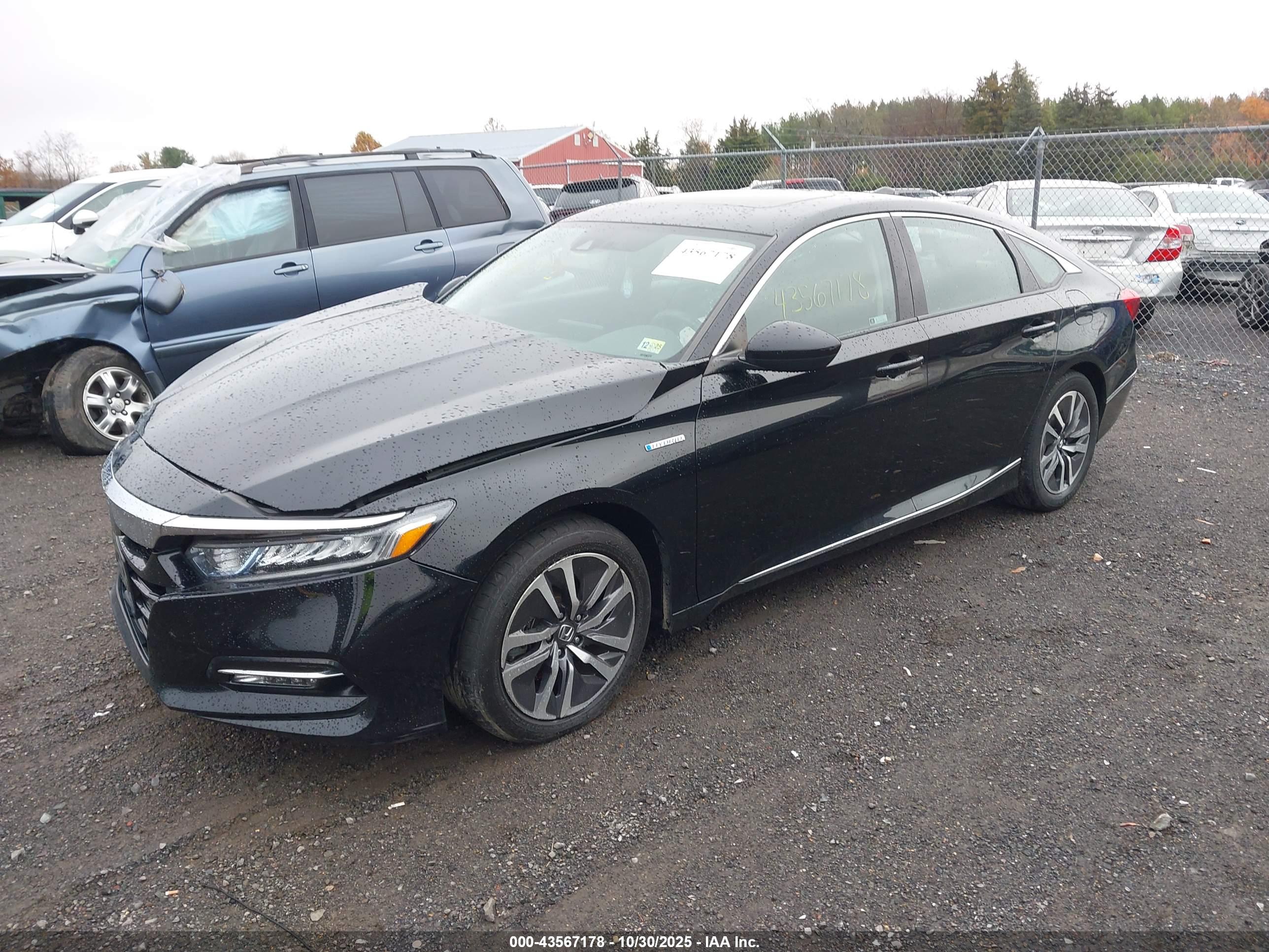 HONDA ACCORD image 2