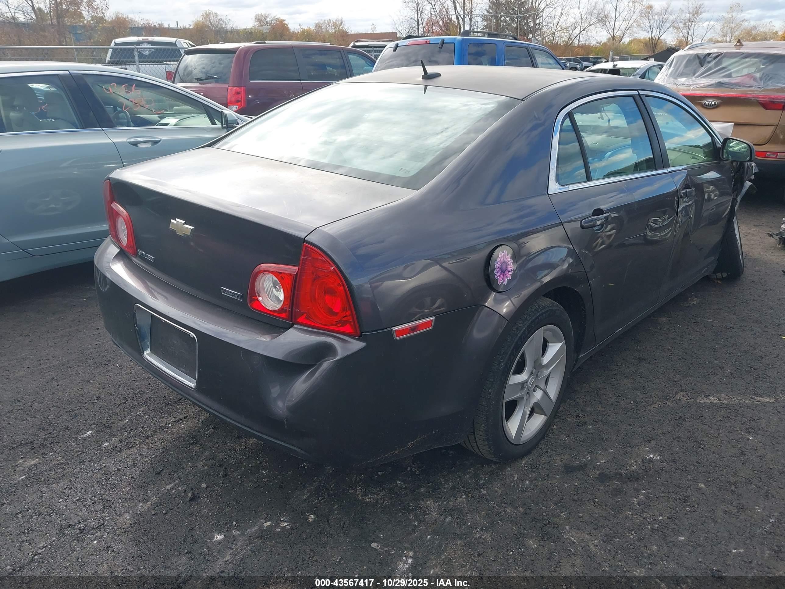 CHEVROLET MALIBU image 4
