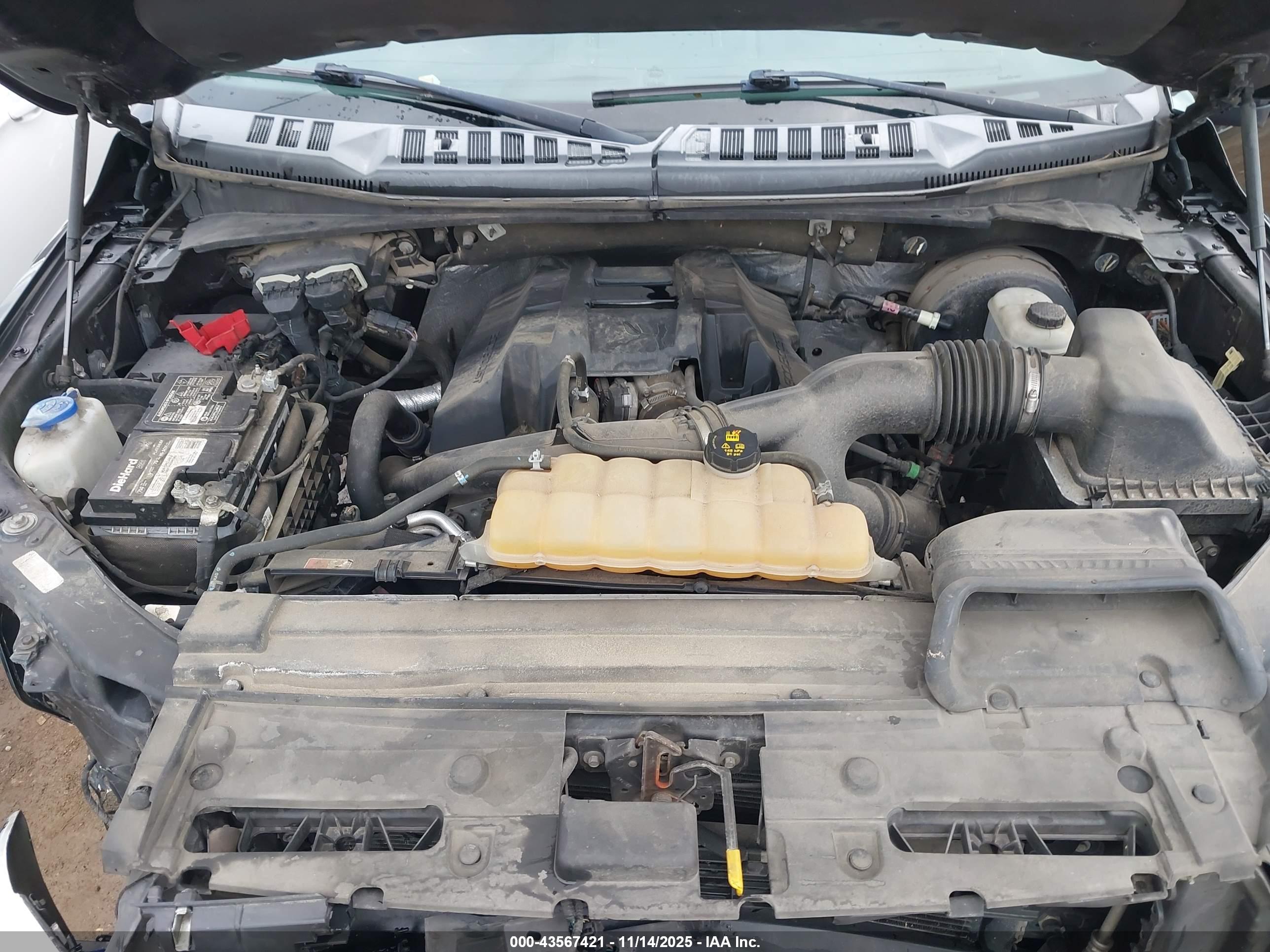 FORD F-150 image 10