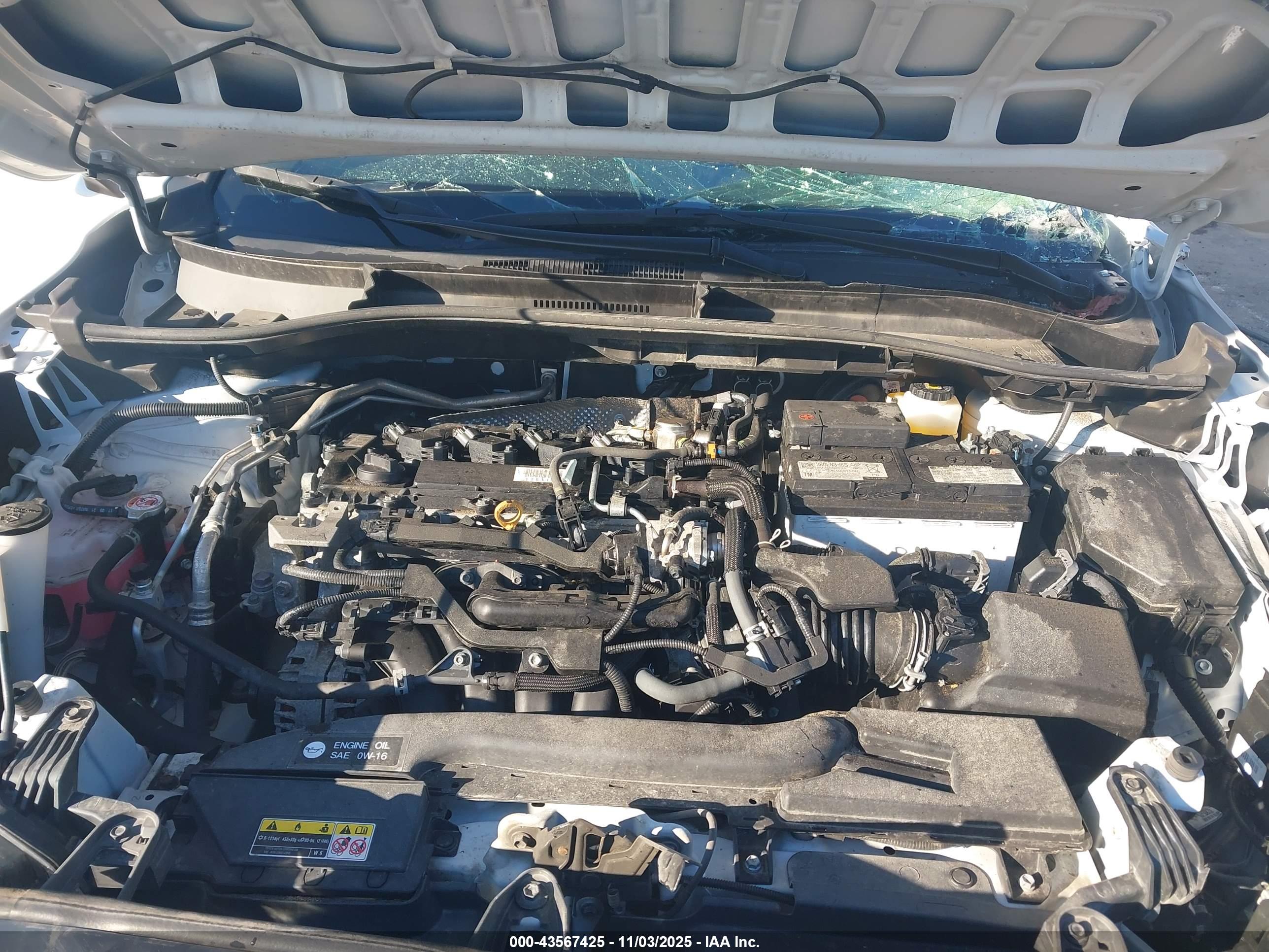 TOYOTA COROLLA image 10