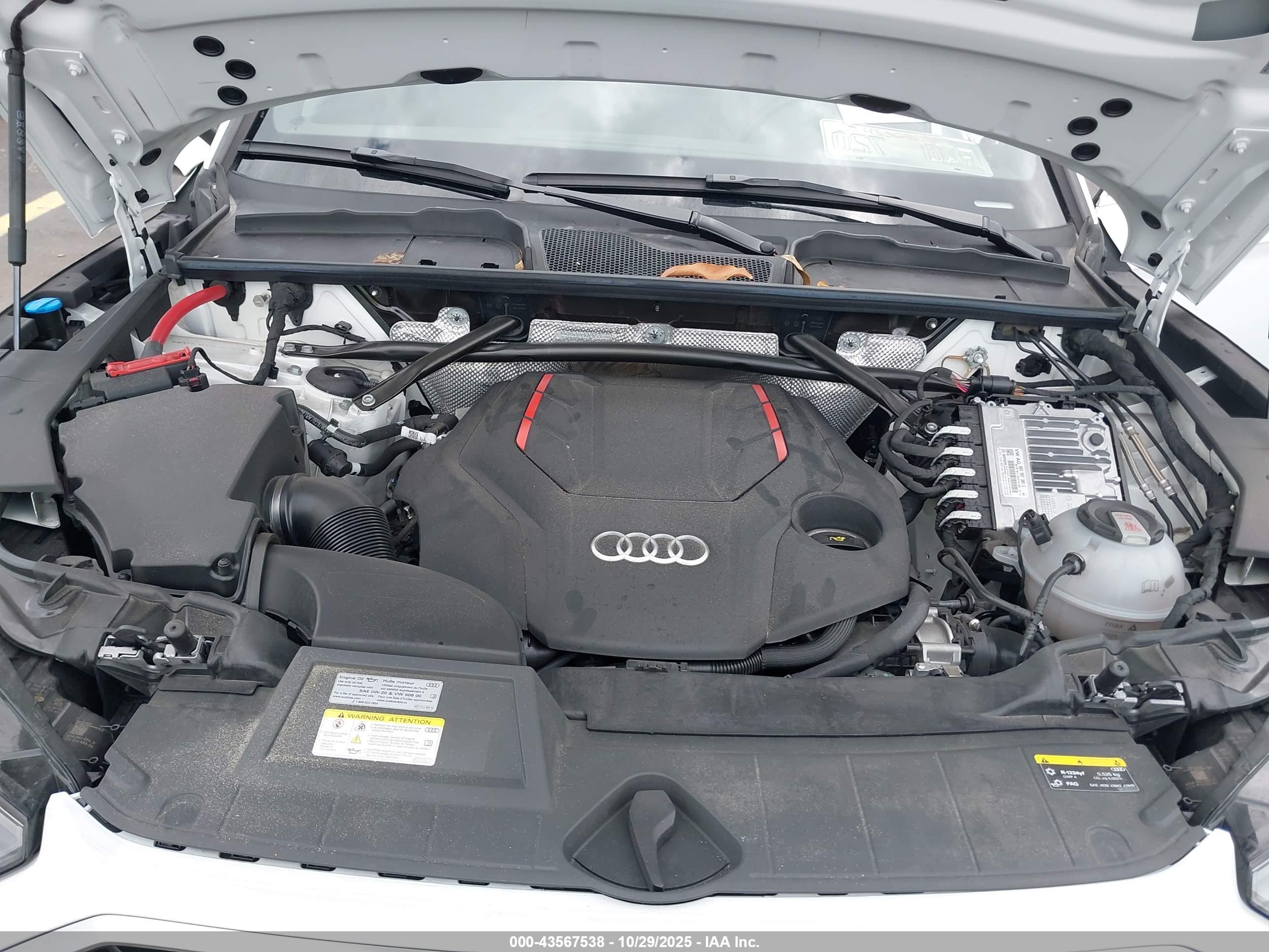 AUDI SQ5 image 10