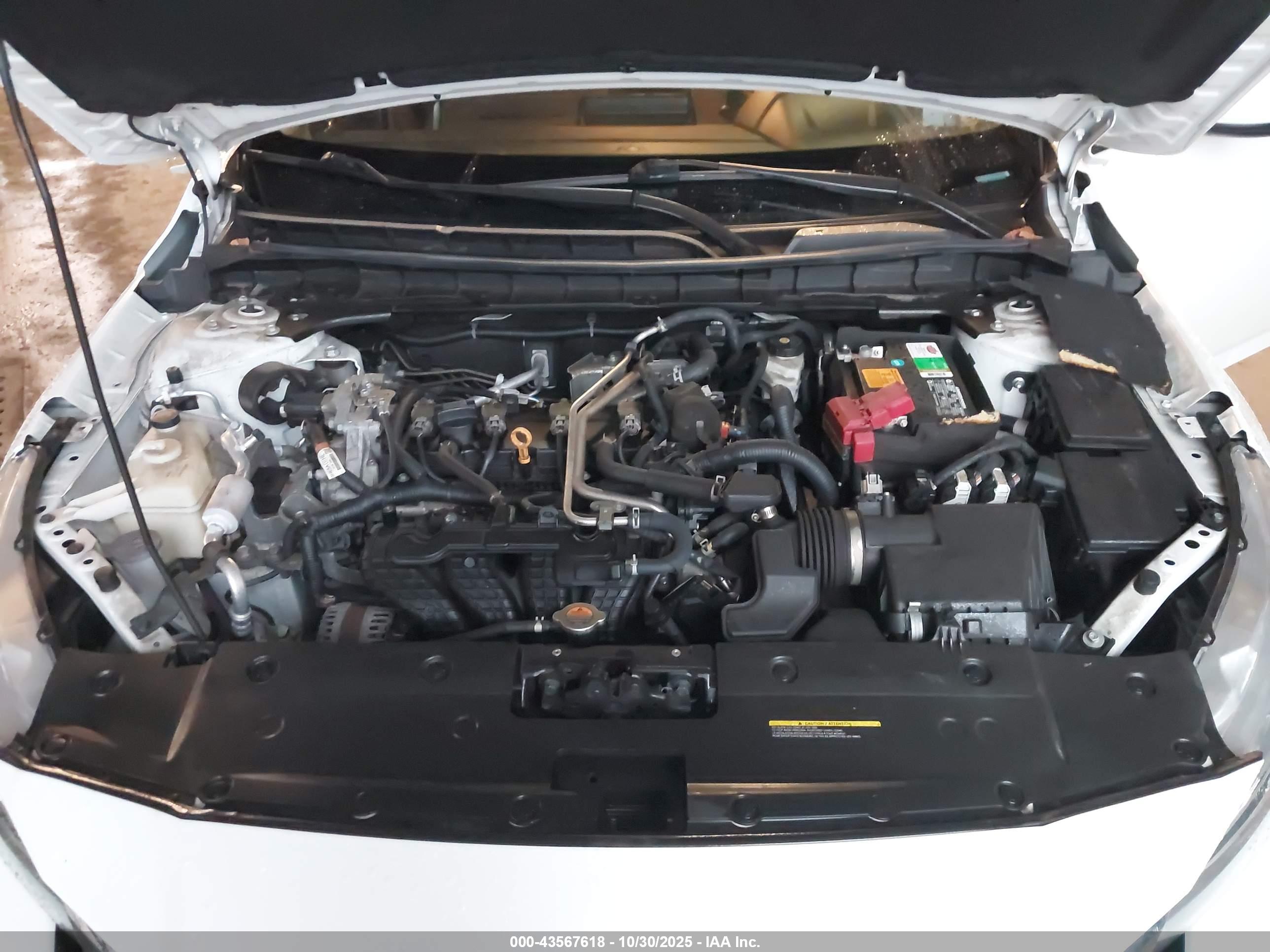 NISSAN ALTIMA image 10