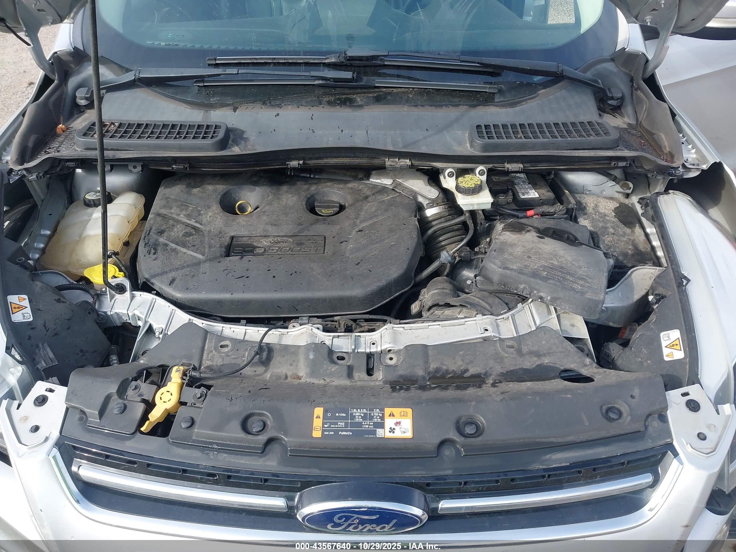 FORD ESCAPE image 10