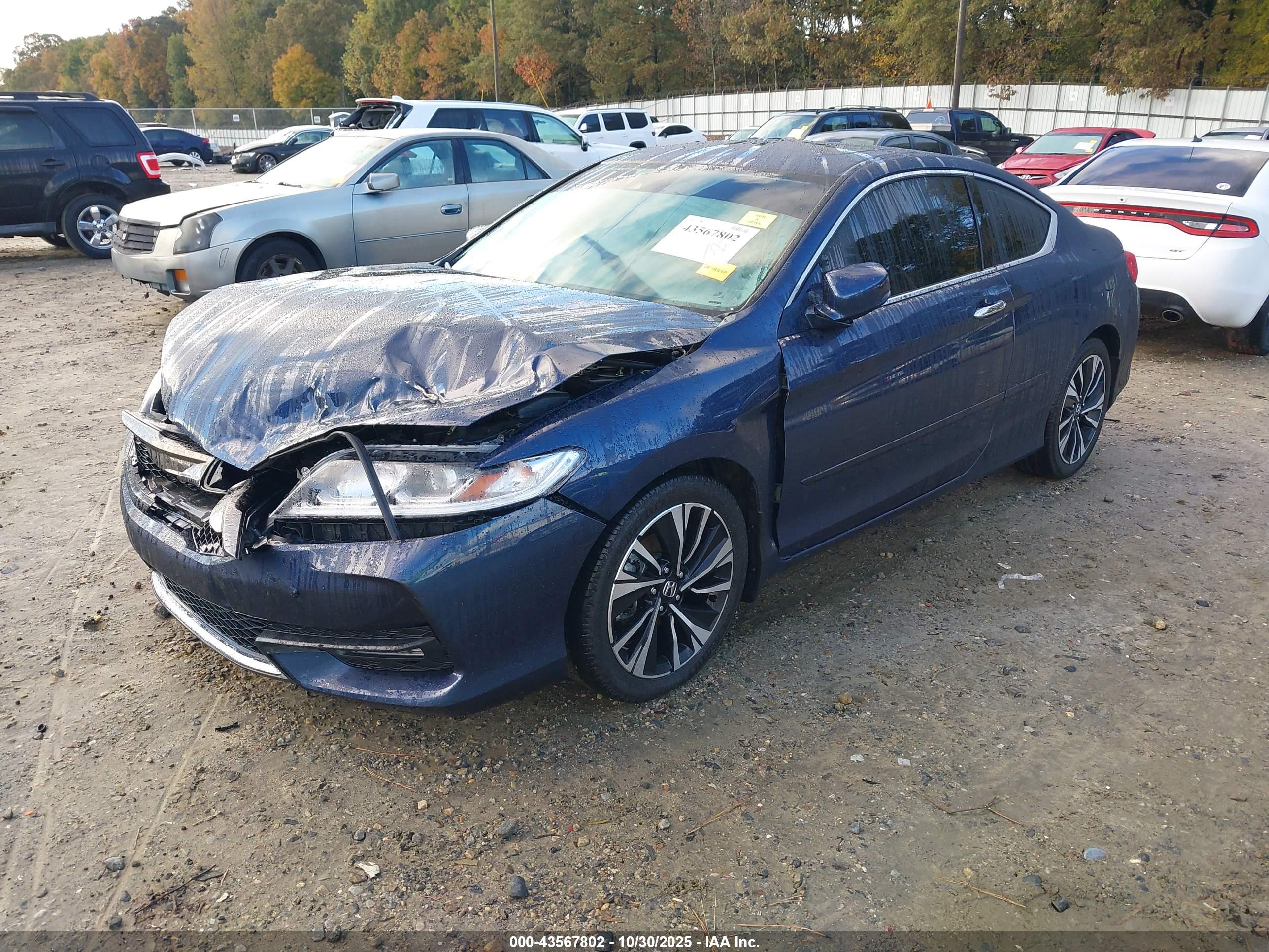 HONDA ACCORD image 2