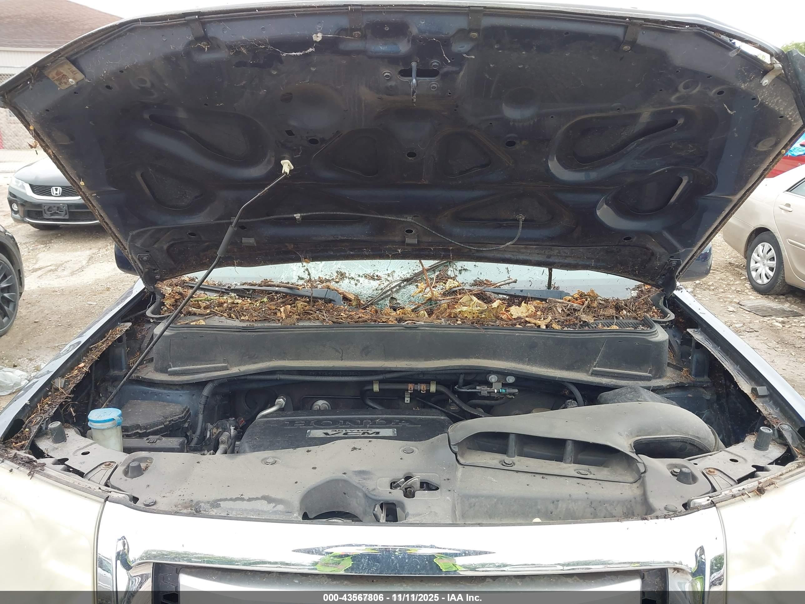 HONDA PILOT image 10