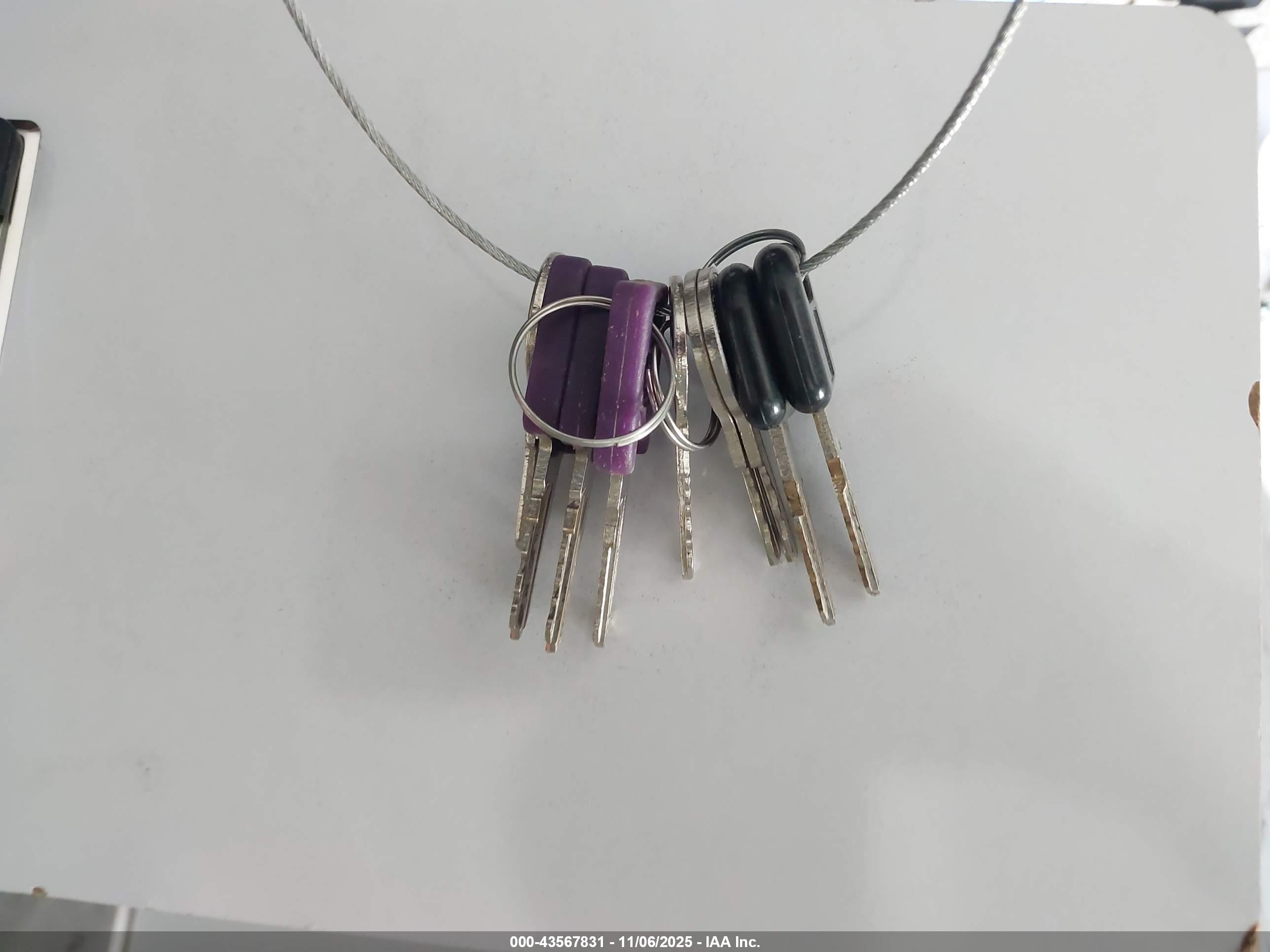 SPRINGDALE KEYS image 11