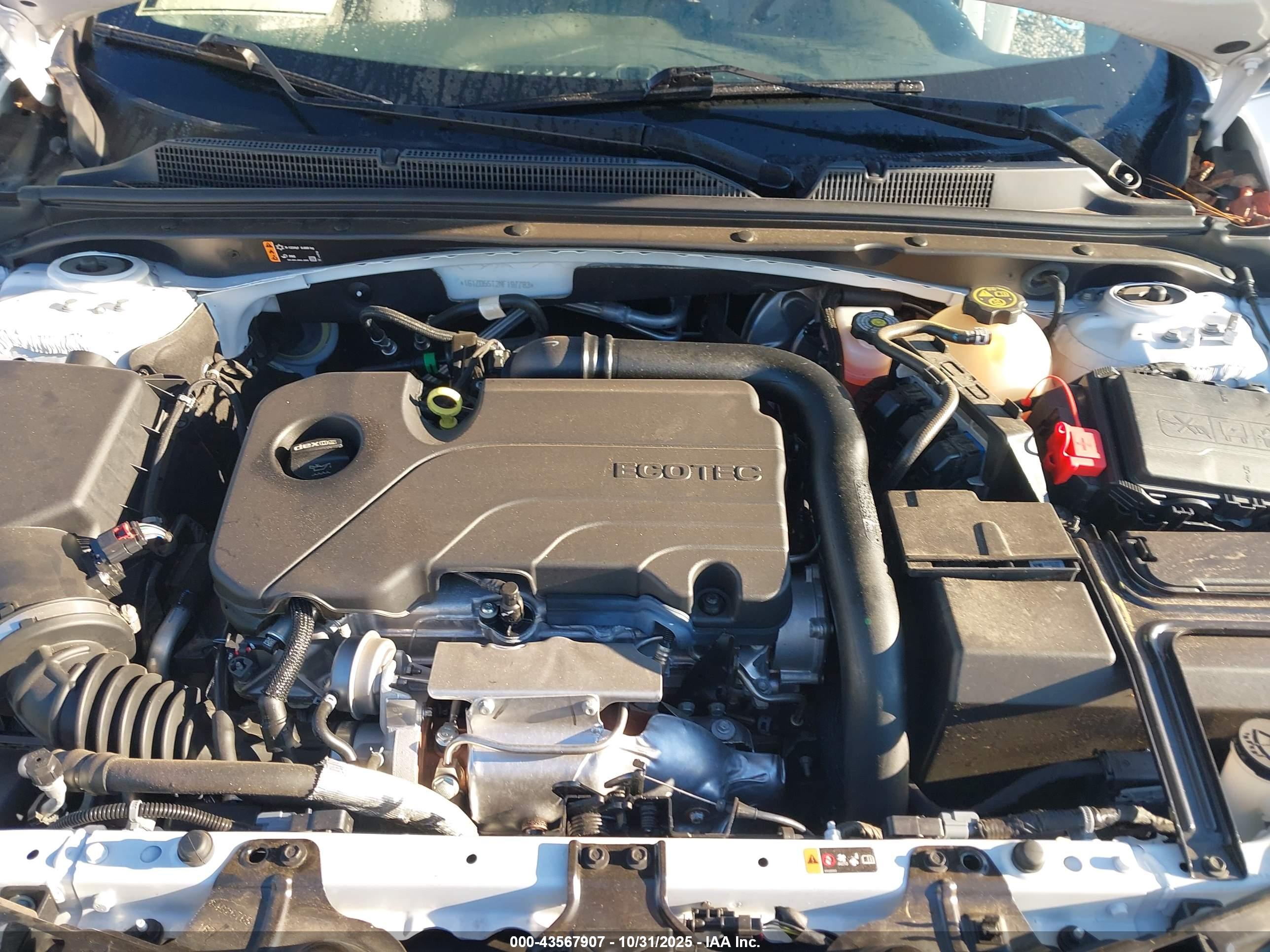 CHEVROLET MALIBU image 10