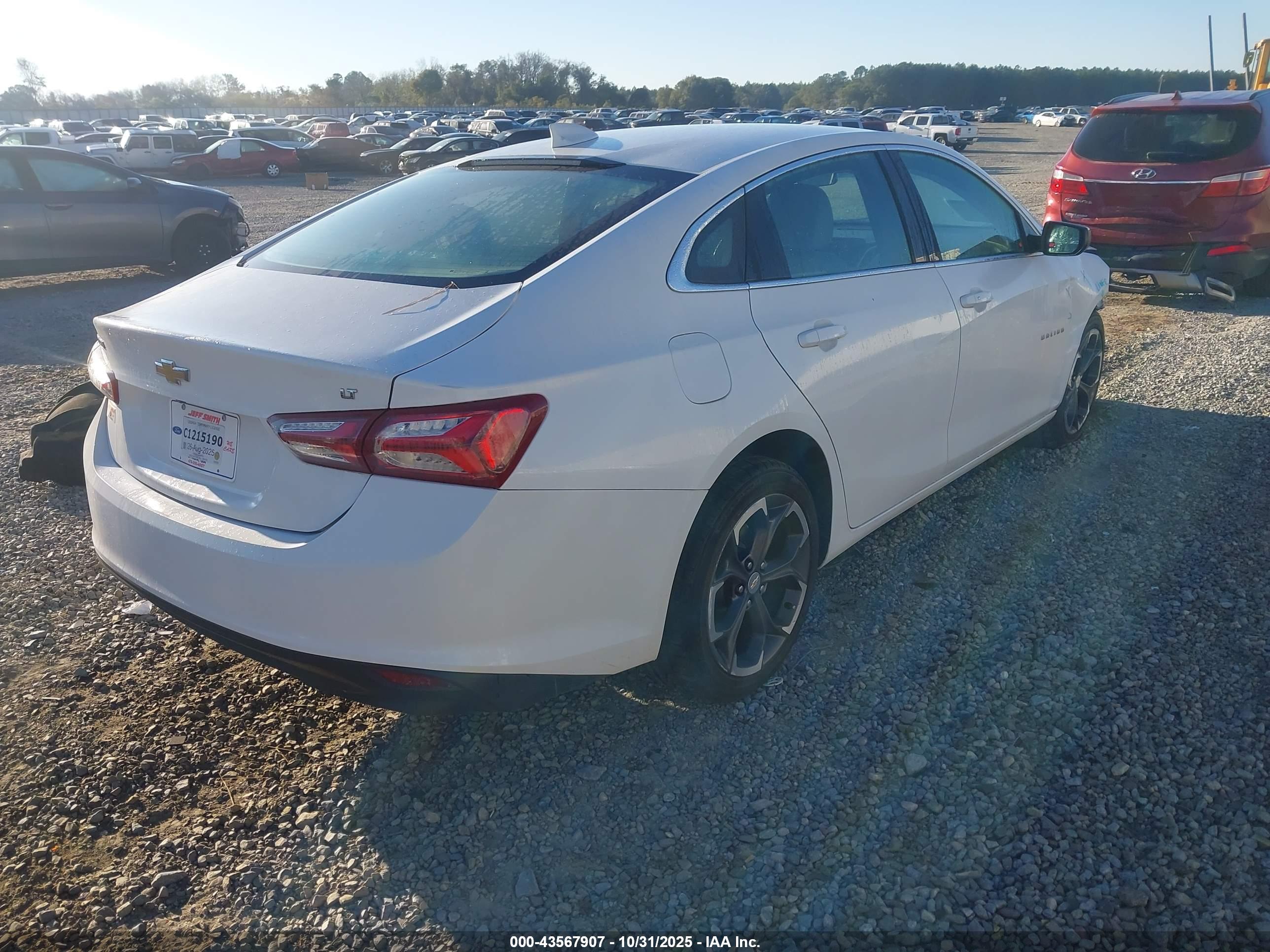 CHEVROLET MALIBU image 4