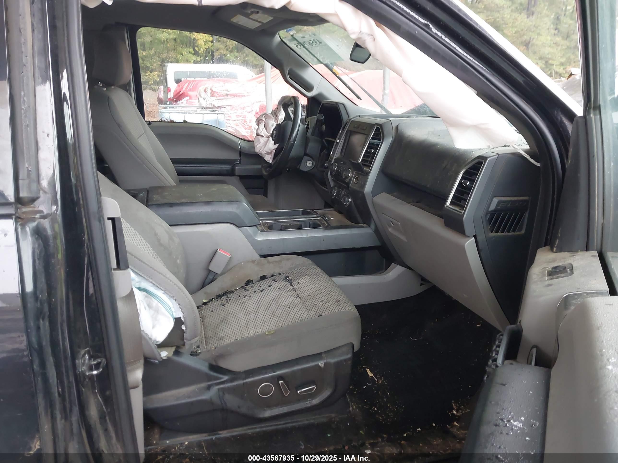 FORD F-150 image 5