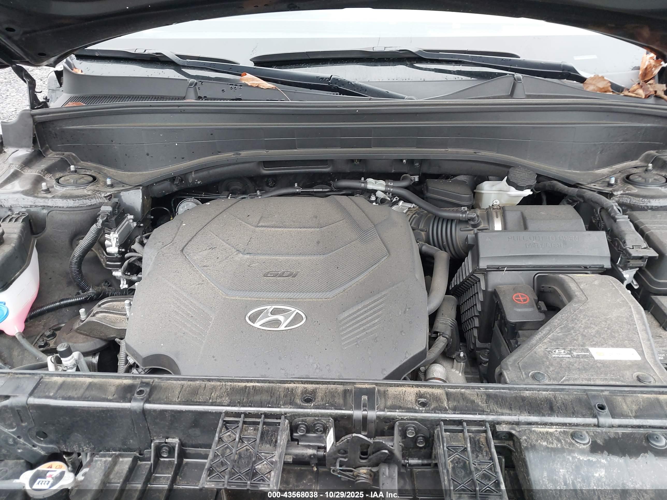 HYUNDAI PALISADE image 10
