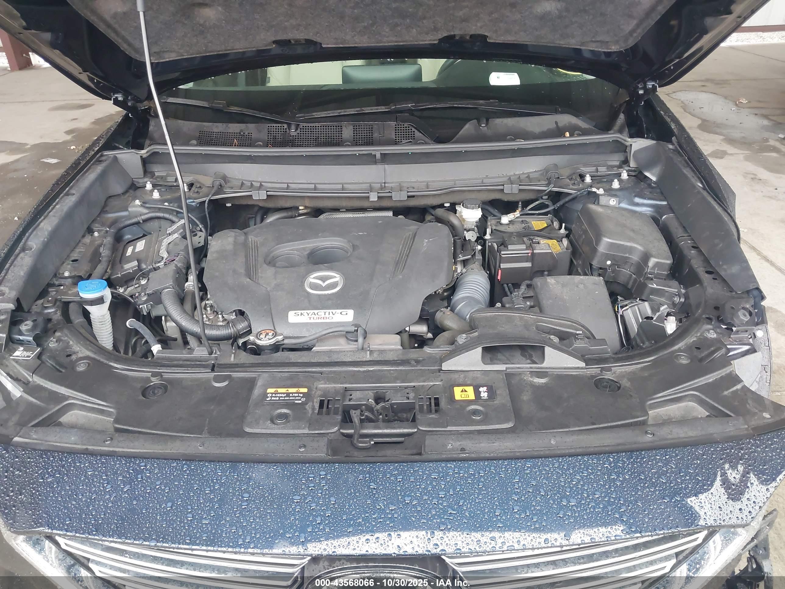 MAZDA CX-9 image 10