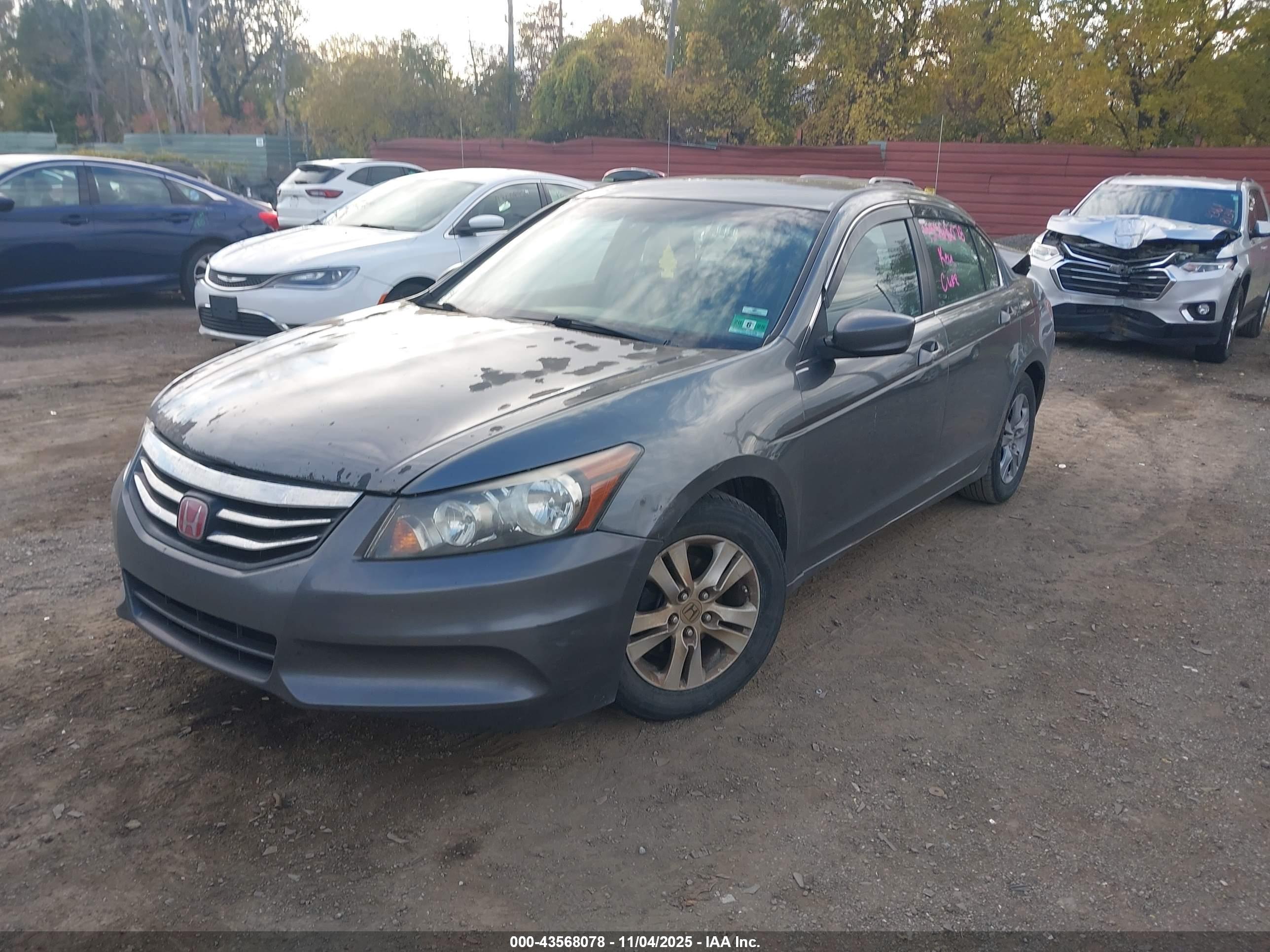 HONDA ACCORD image 2