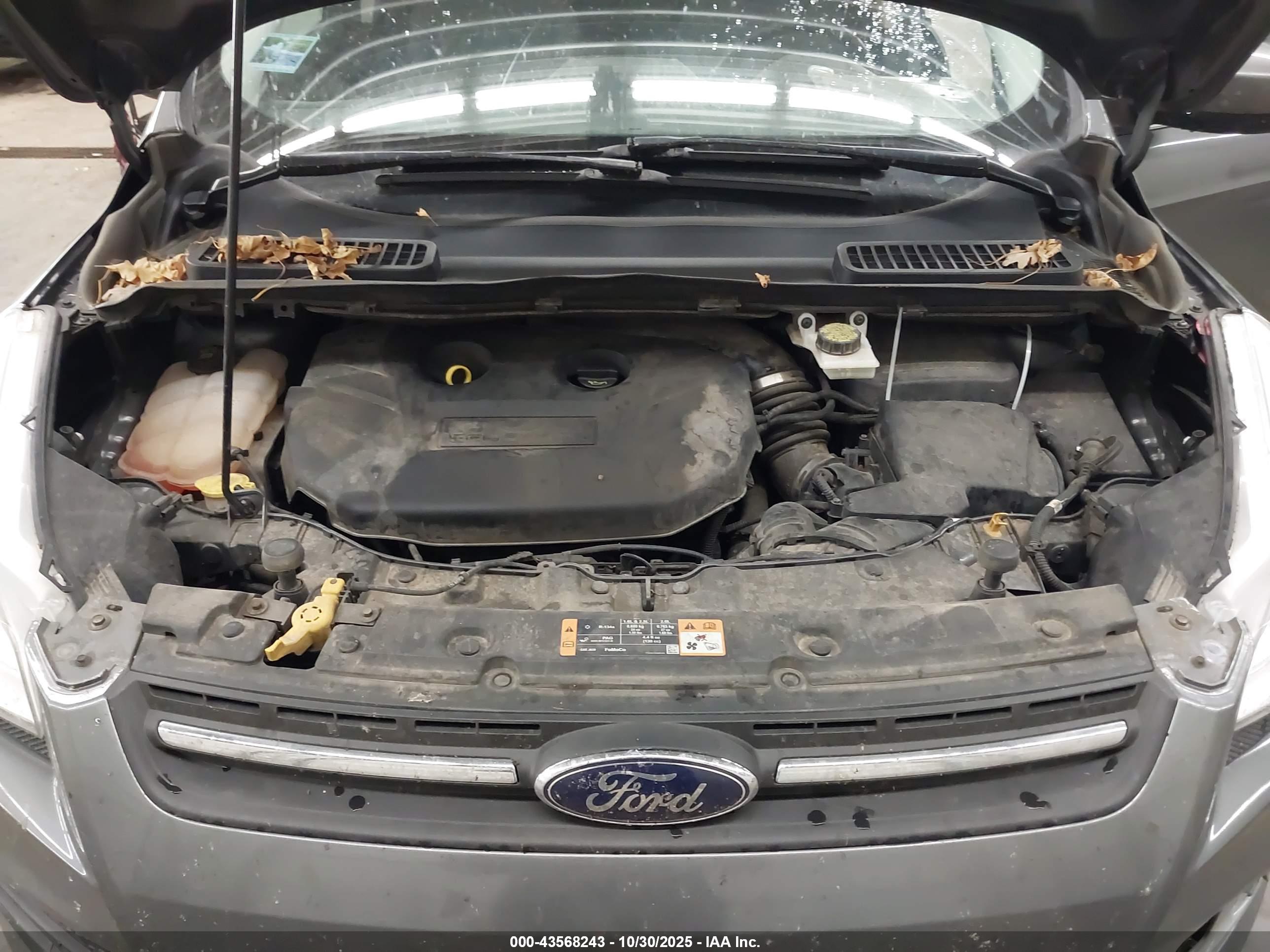 FORD ESCAPE image 10