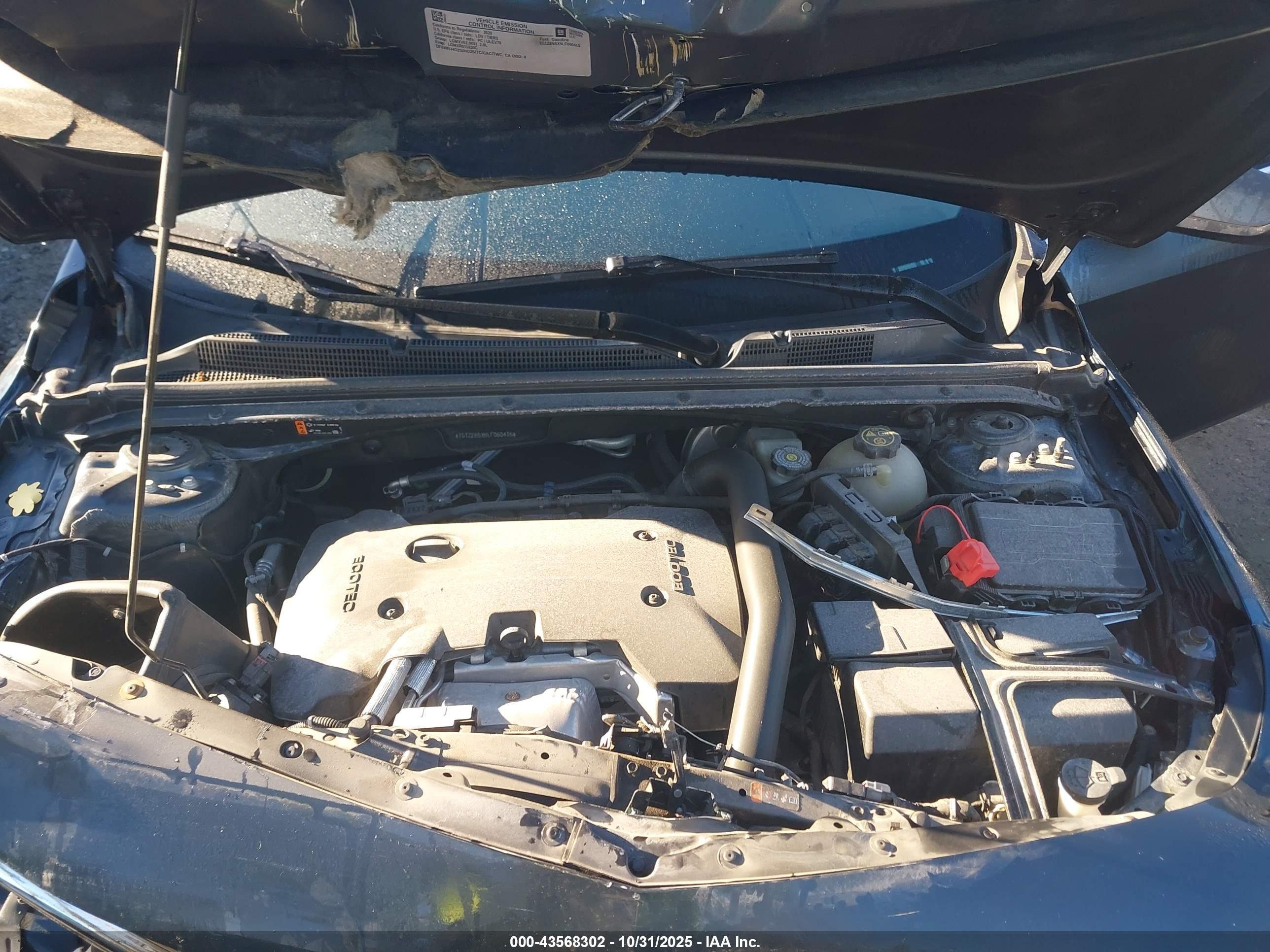 CHEVROLET MALIBU image 10