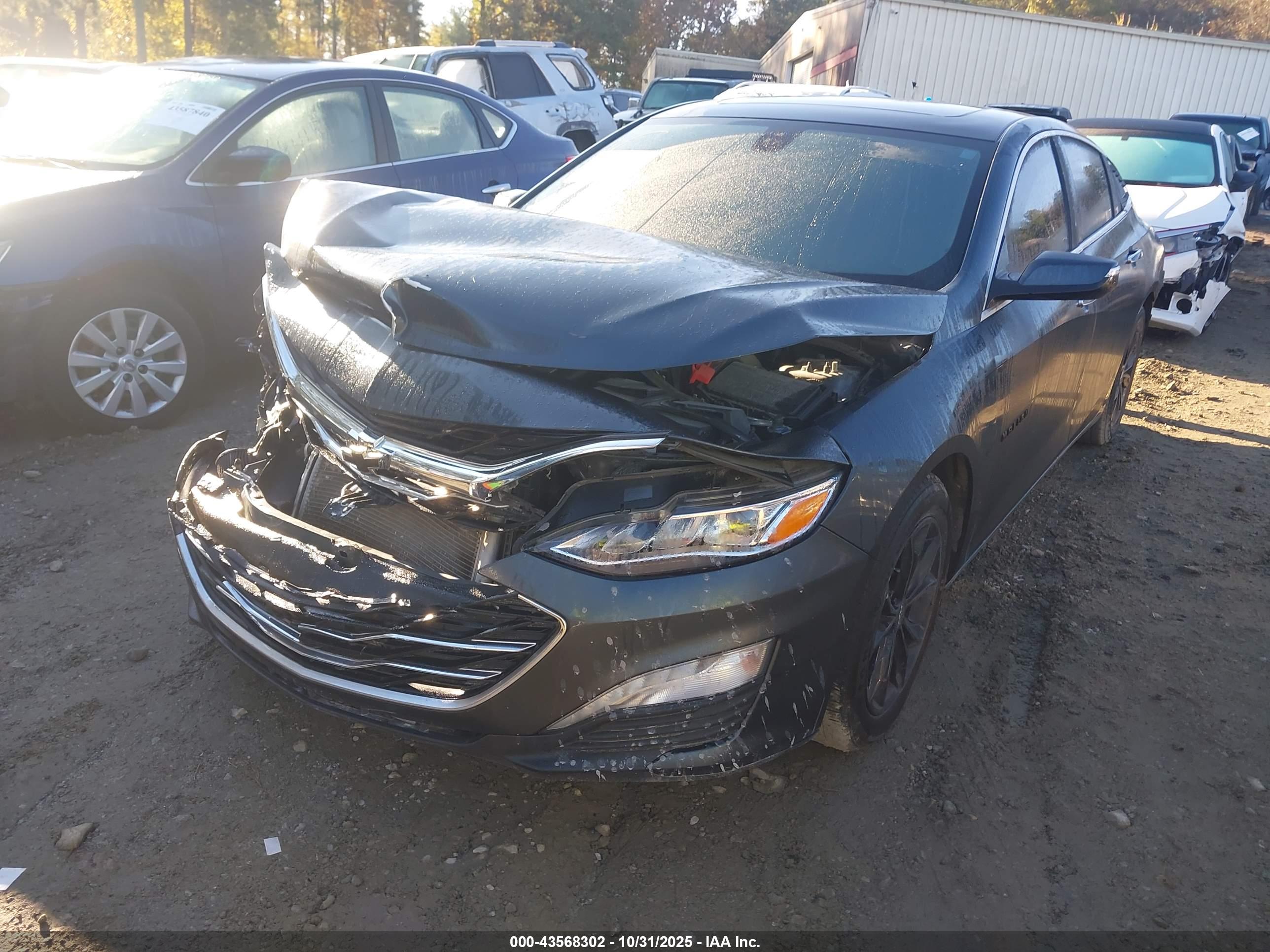 CHEVROLET MALIBU image 2