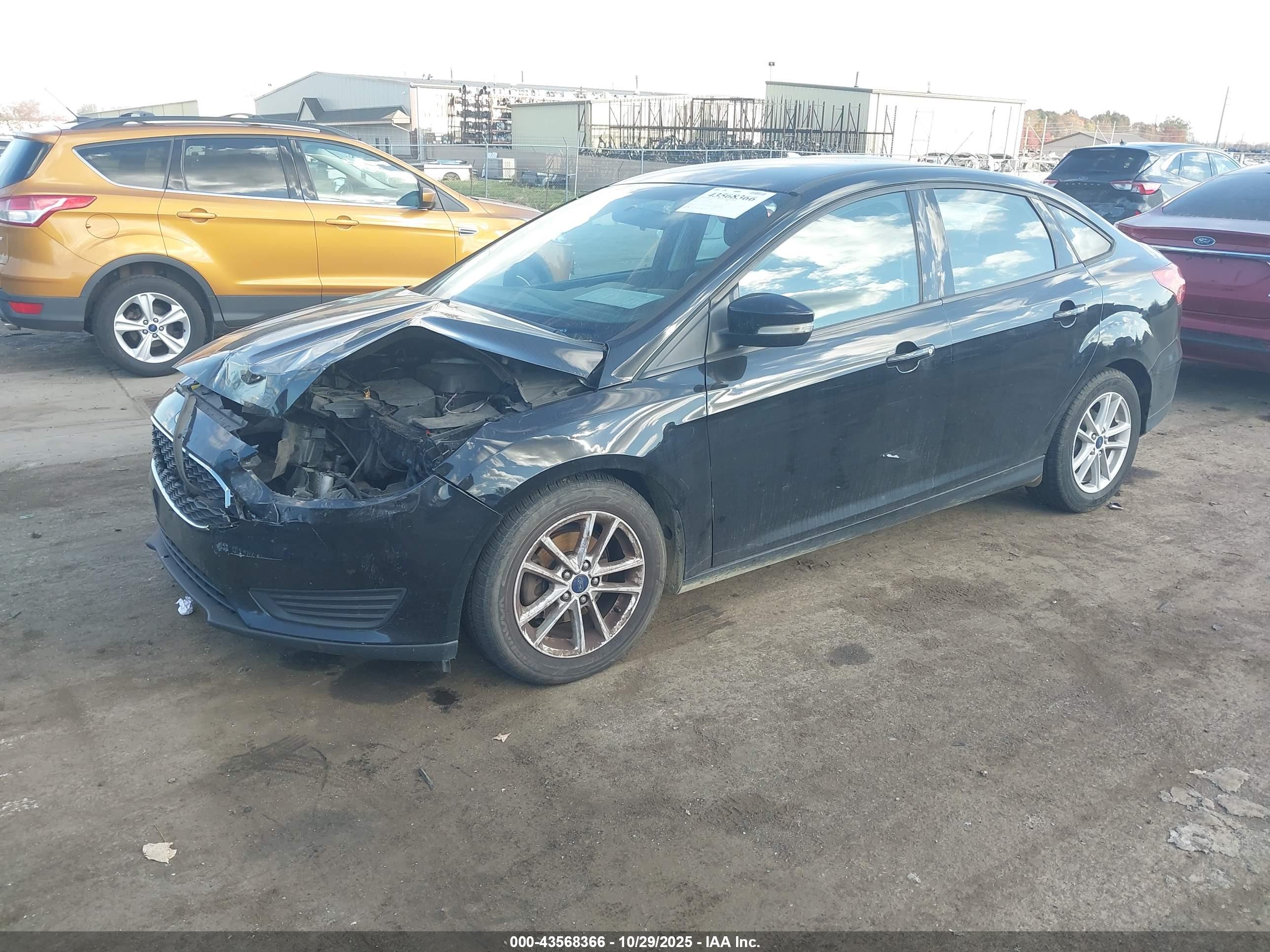 FORD FOCUS image 2