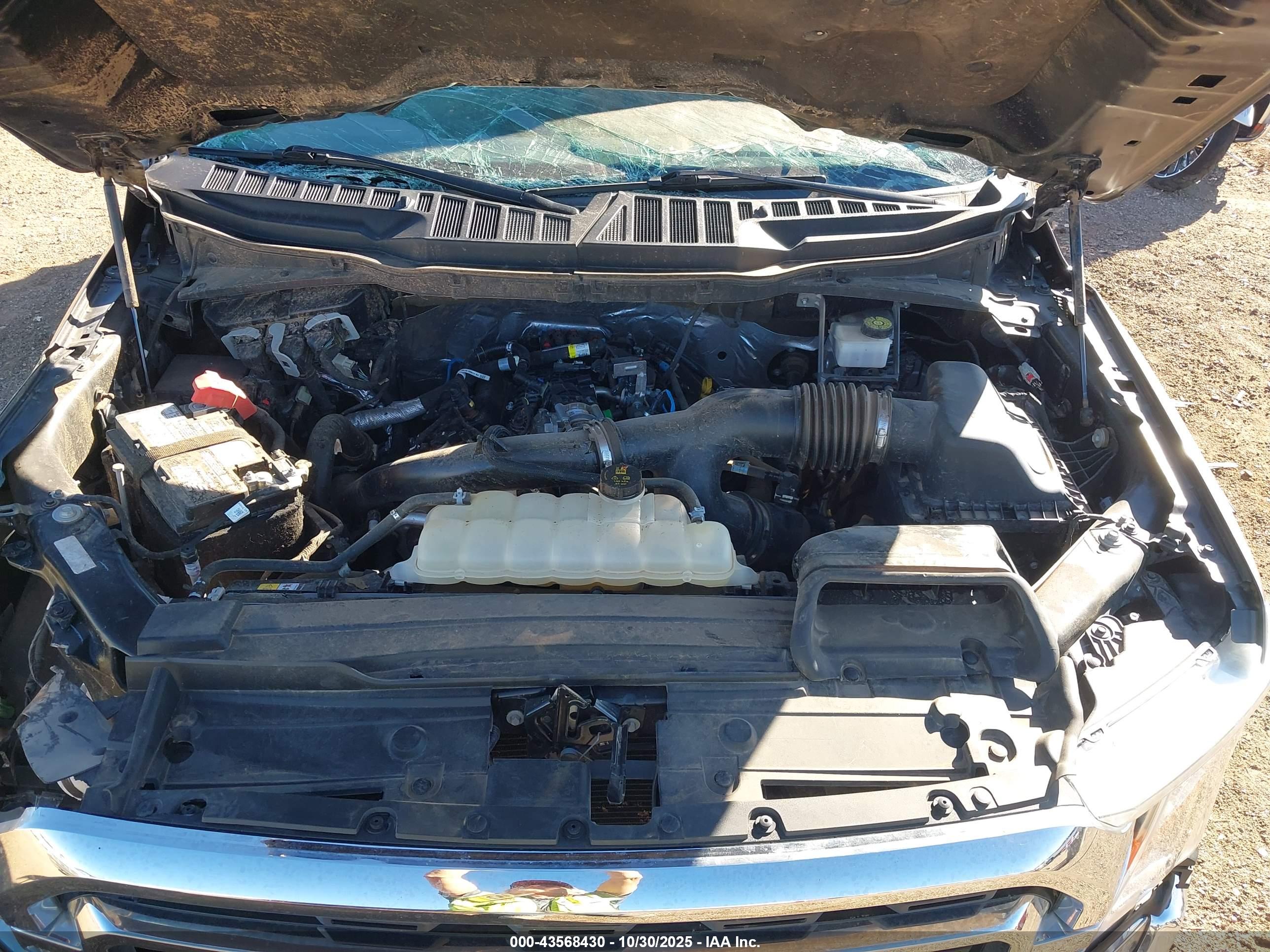 FORD F-150 image 10