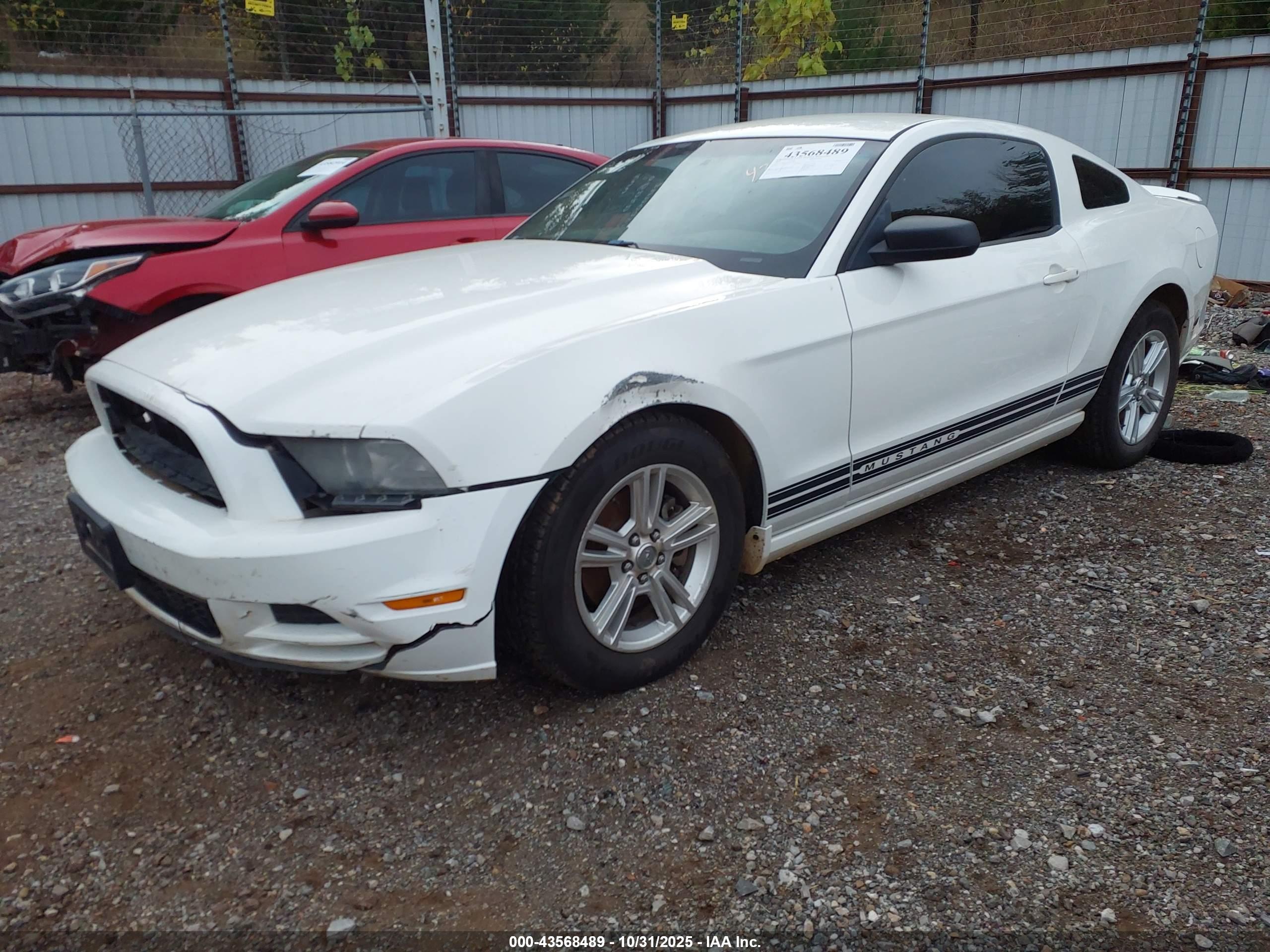 FORD MUSTANG image 2