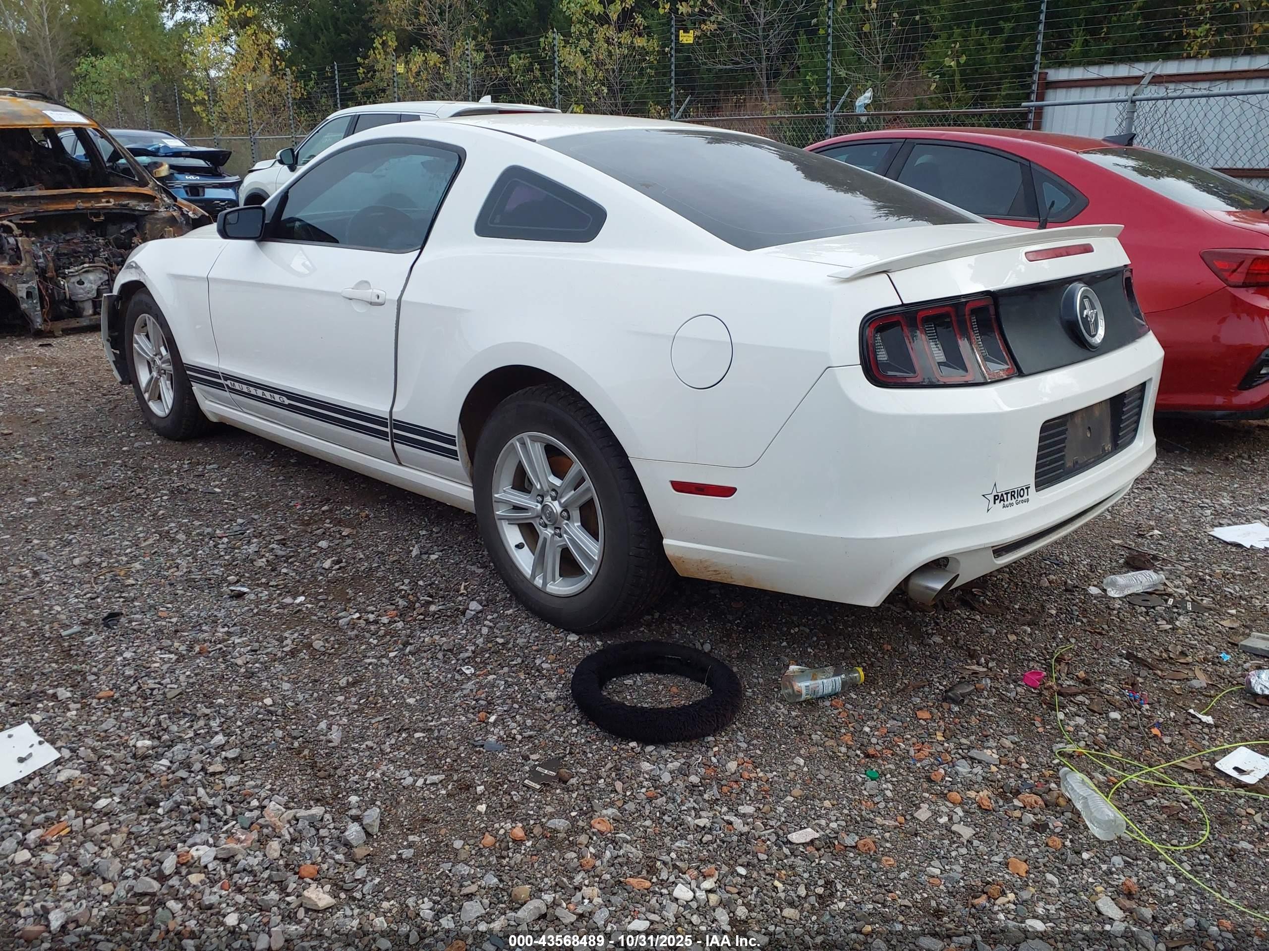 FORD MUSTANG image 3